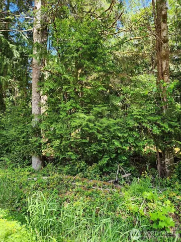 $19,500 | 72-lot West Arrowhead Drive, Elma, WA 98541