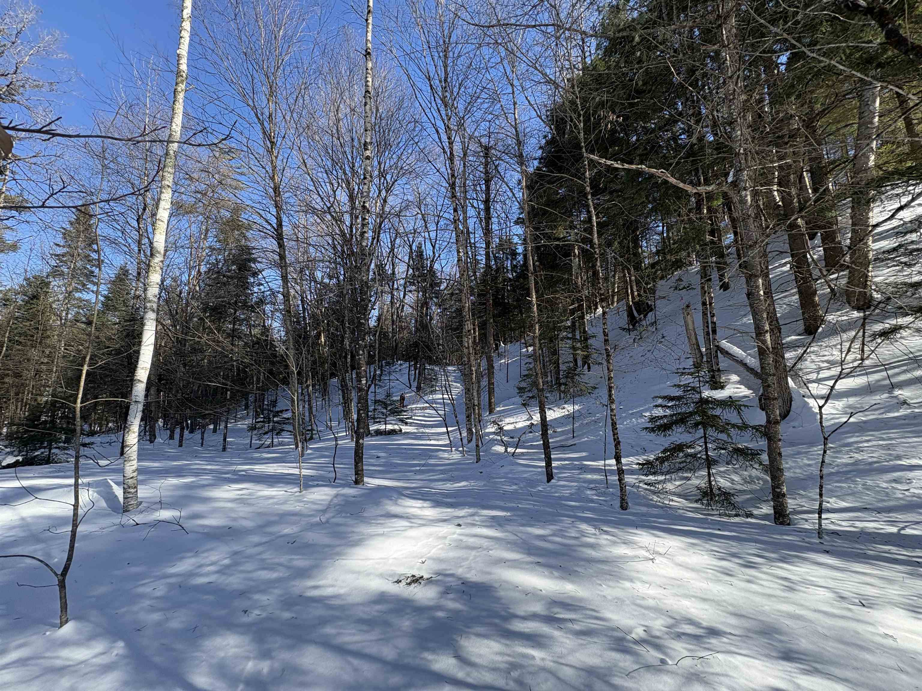 27 Westville Road Groton, VT 05046 - Photo 18 of 24 Gallery Image 18