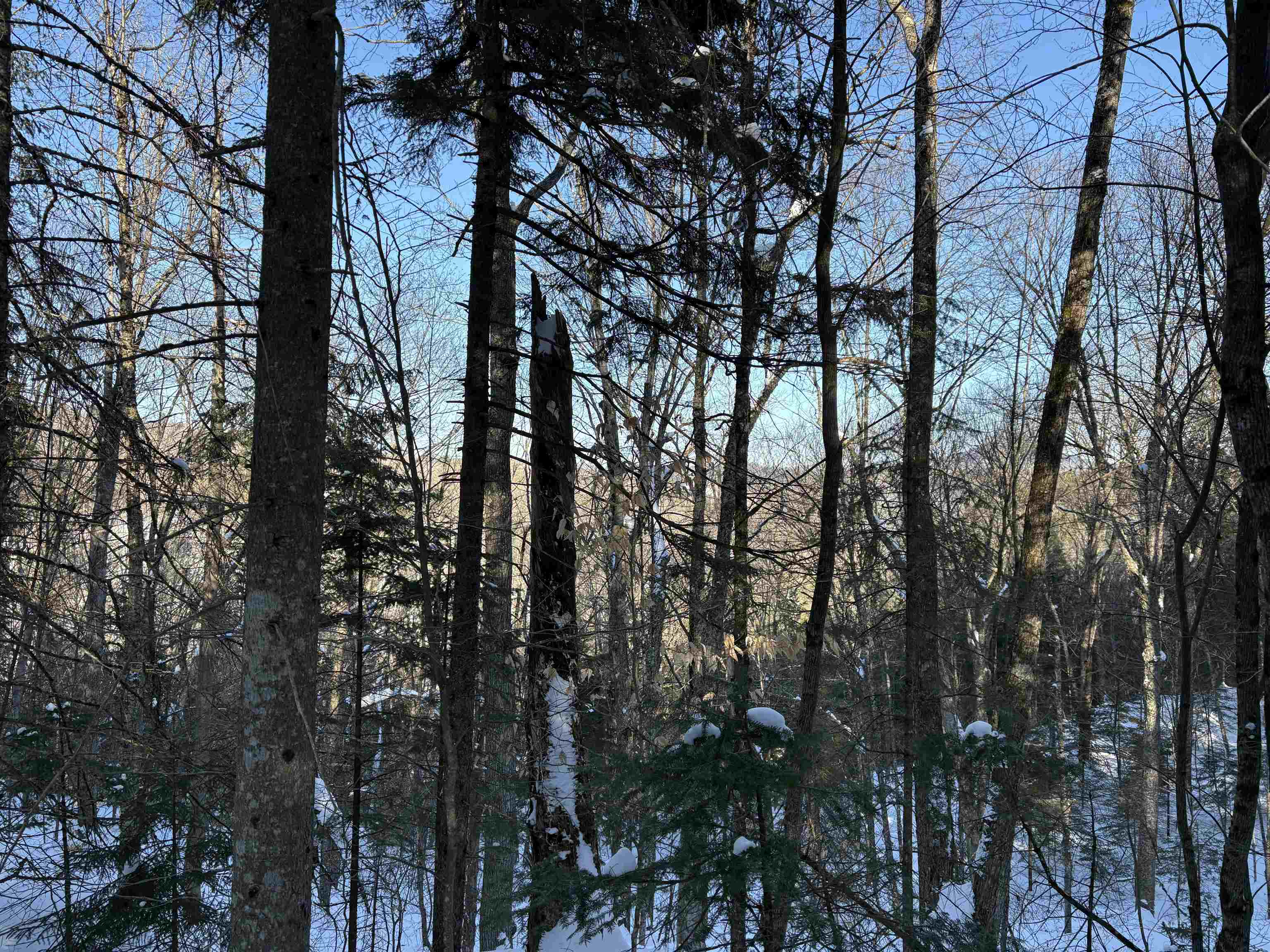 27 Westville Road Groton, VT 05046 - Photo 2 of 24 Gallery Image 2