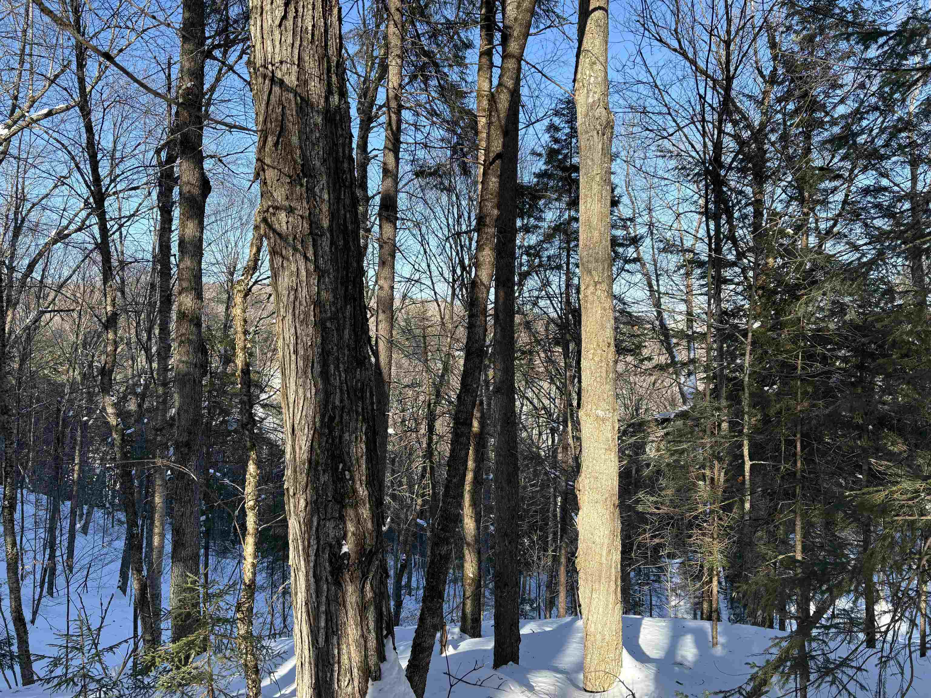 27 Westville Road Groton, VT 05046 - Photo 4 of 24 Gallery Image 4