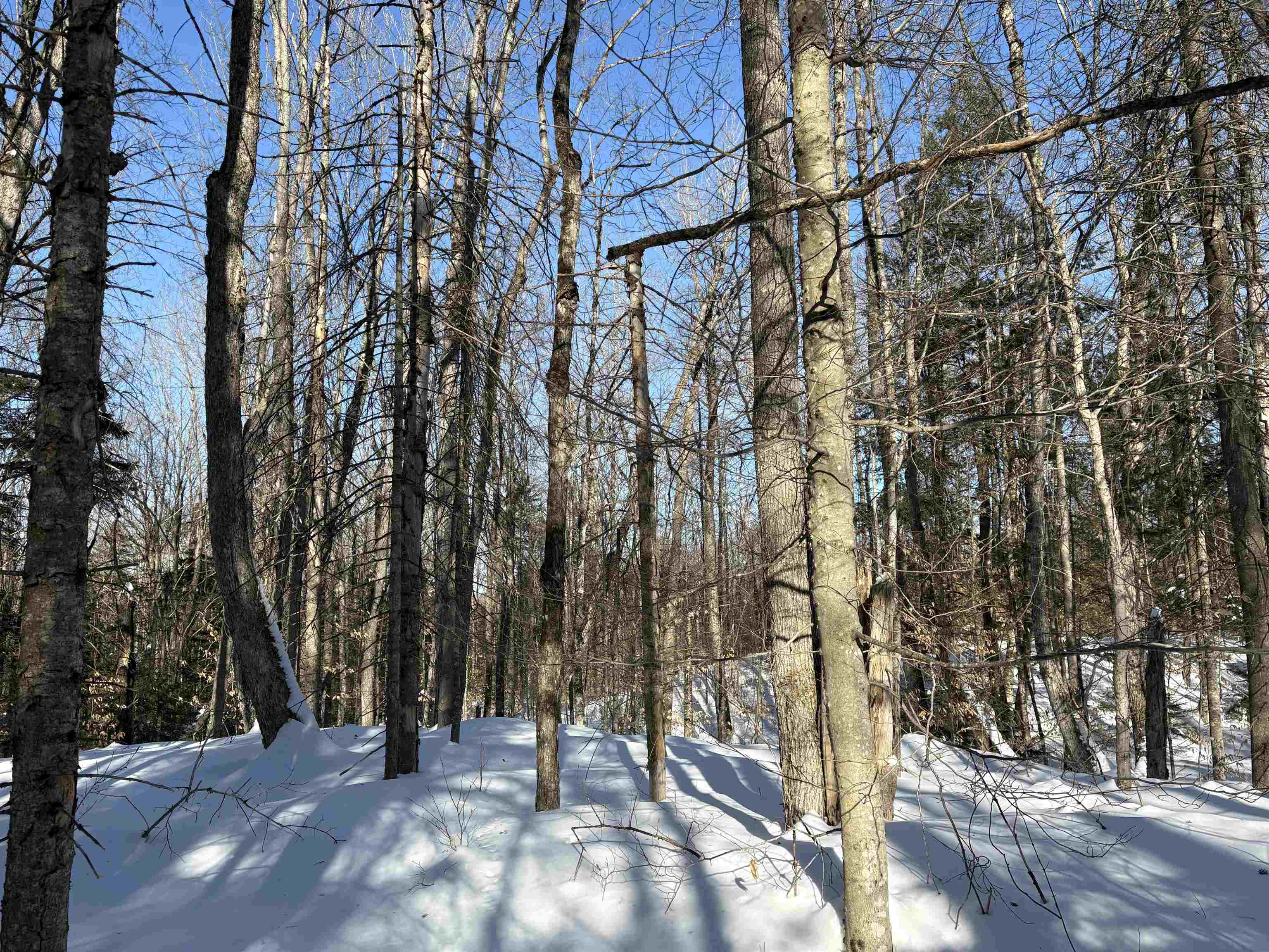 27 Westville Road Groton, VT 05046 - Photo 5 of 24 Gallery Image 5