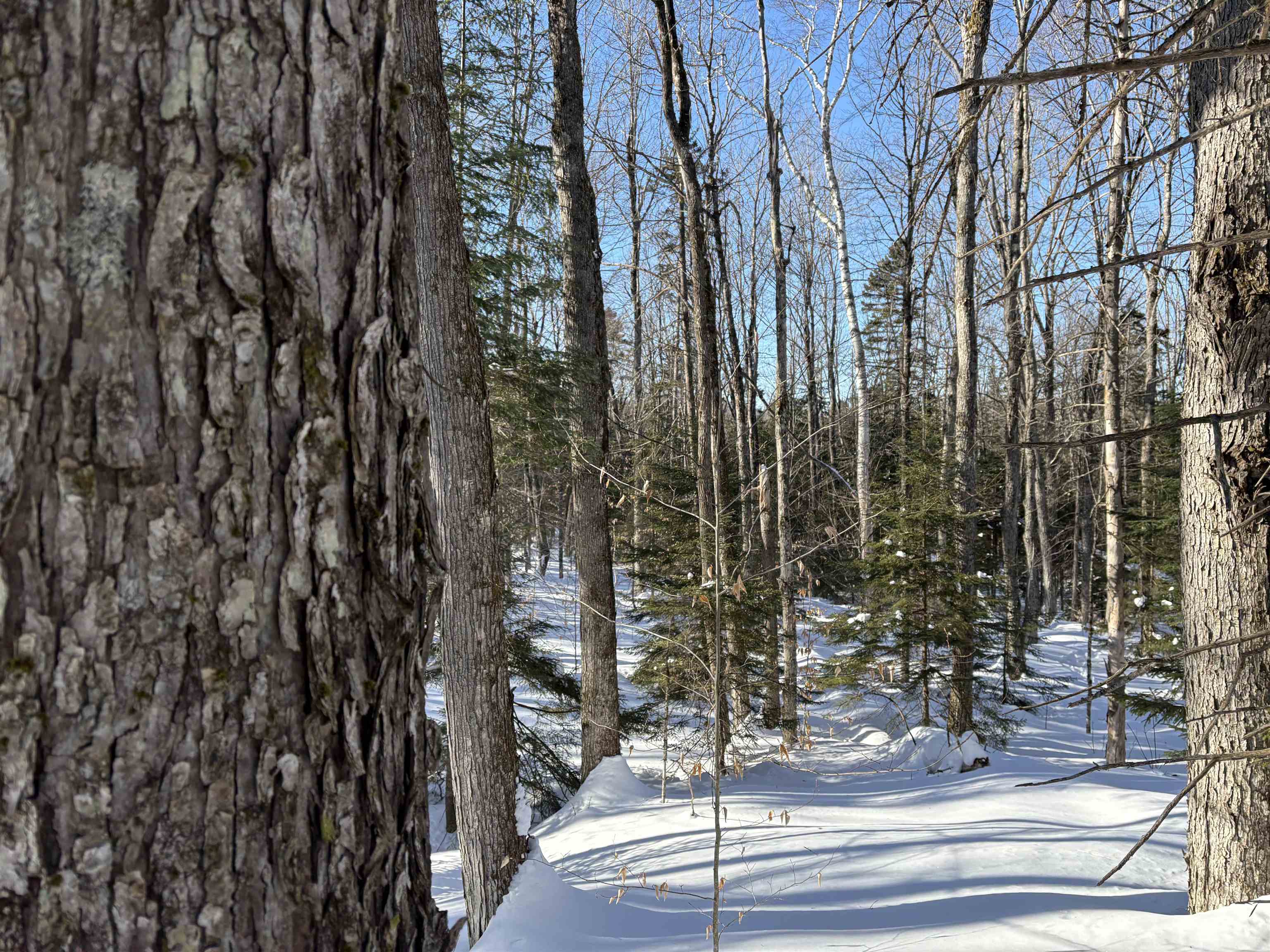 27 Westville Road Groton, VT 05046 - Photo 6 of 24 Gallery Image 6