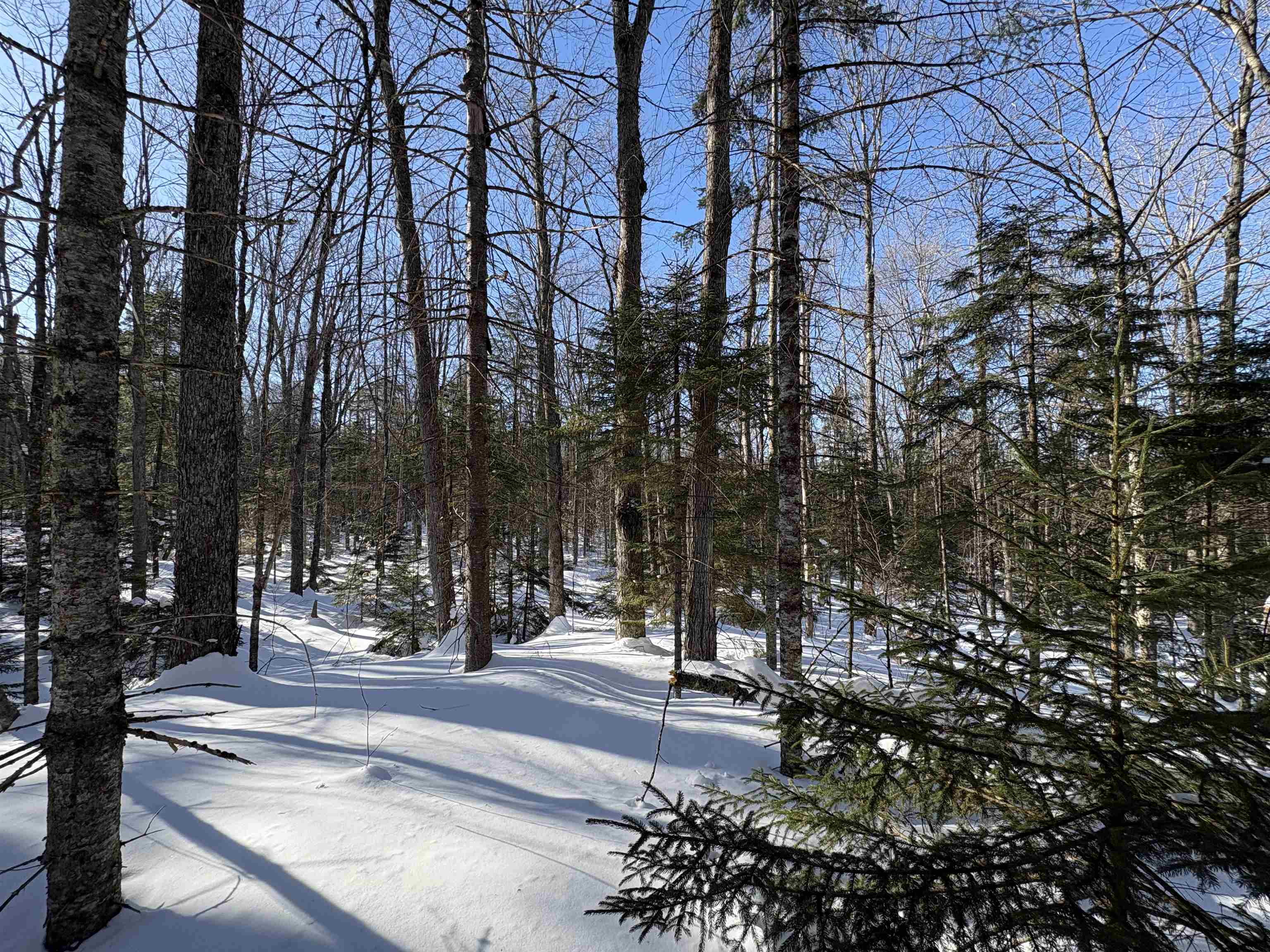 27 Westville Road Groton, VT 05046 - Photo 7 of 24 Gallery Image 7