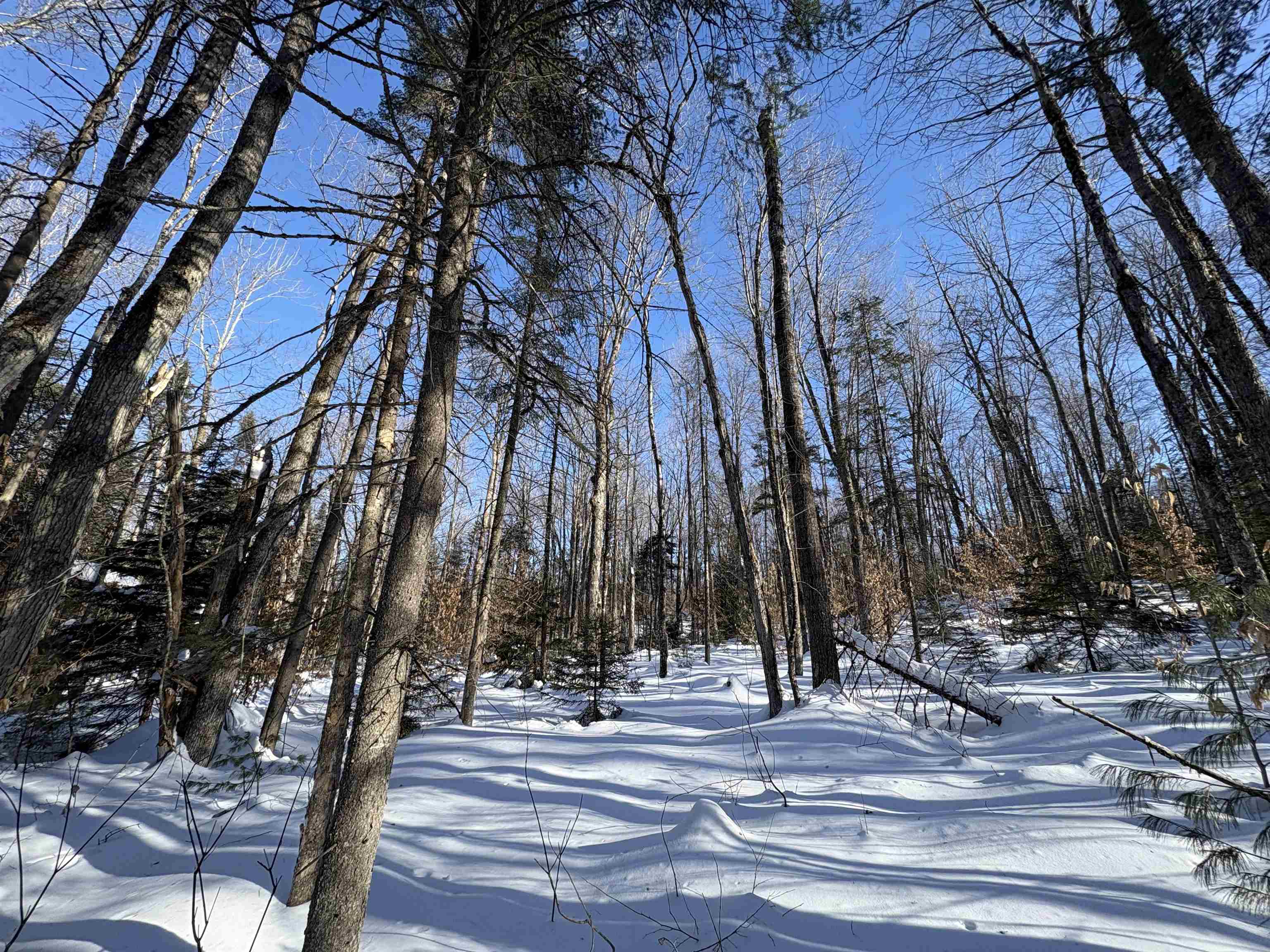 27 Westville Road Groton, VT 05046 - Photo 8 of 24 Gallery Image 8