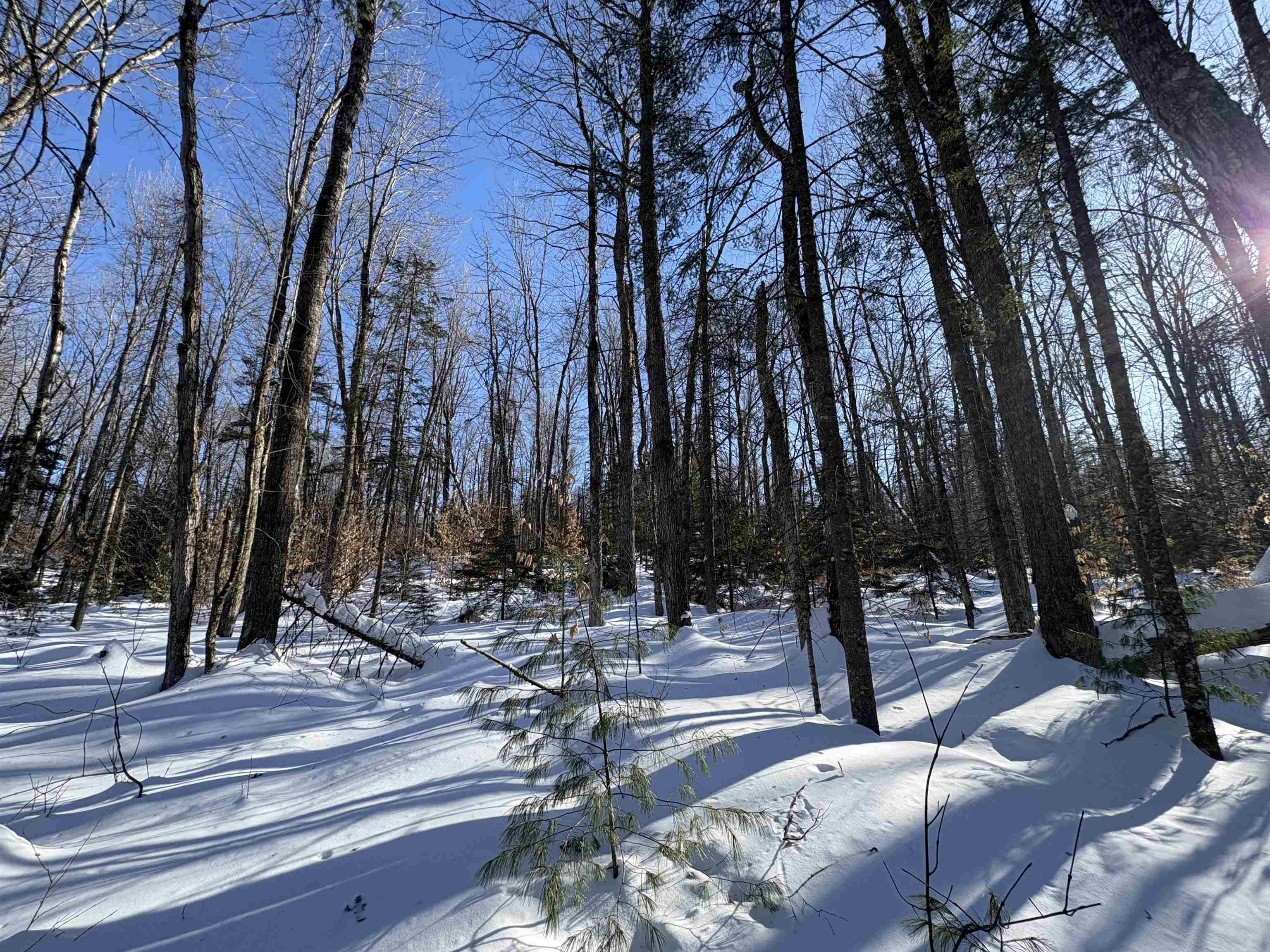 27 Westville Road Groton, VT 05046 - Photo 9 of 24 Gallery Image 9