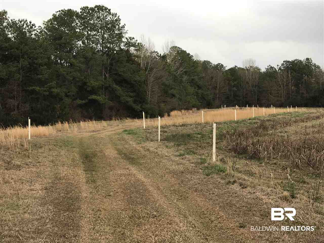 1478 Ridge Road Greenville, AL 36037 - Photo 26 of 50