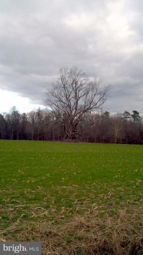 Redden Road Denton, MD 21629 - Photo 1 of 2 Great site for an estate of generations
