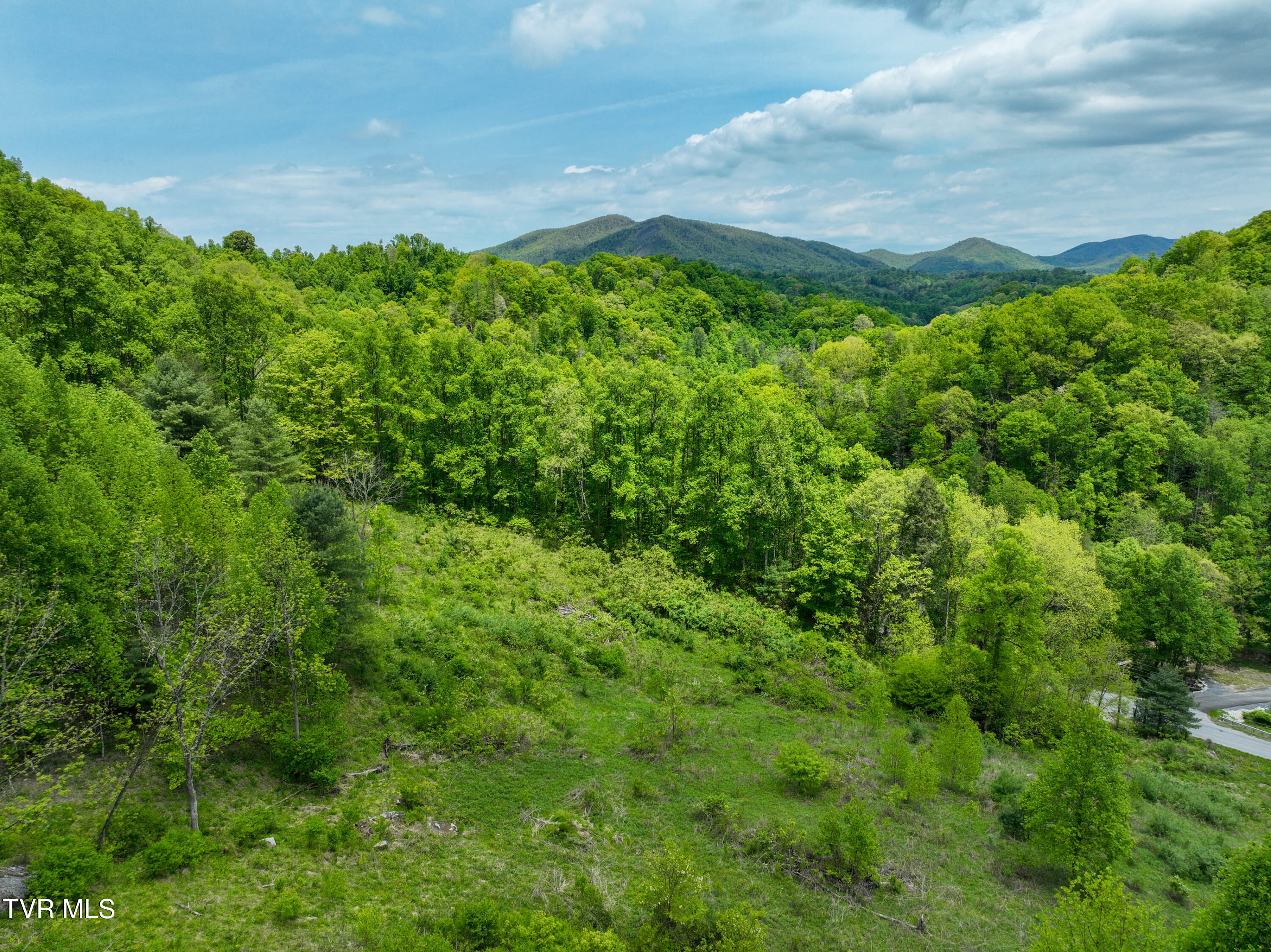 275 Tiger Creek Road Roan Mountain, TN 37687 - Photo 98 of 104 275 Tiger Creek Rd Drone WALLACE-45