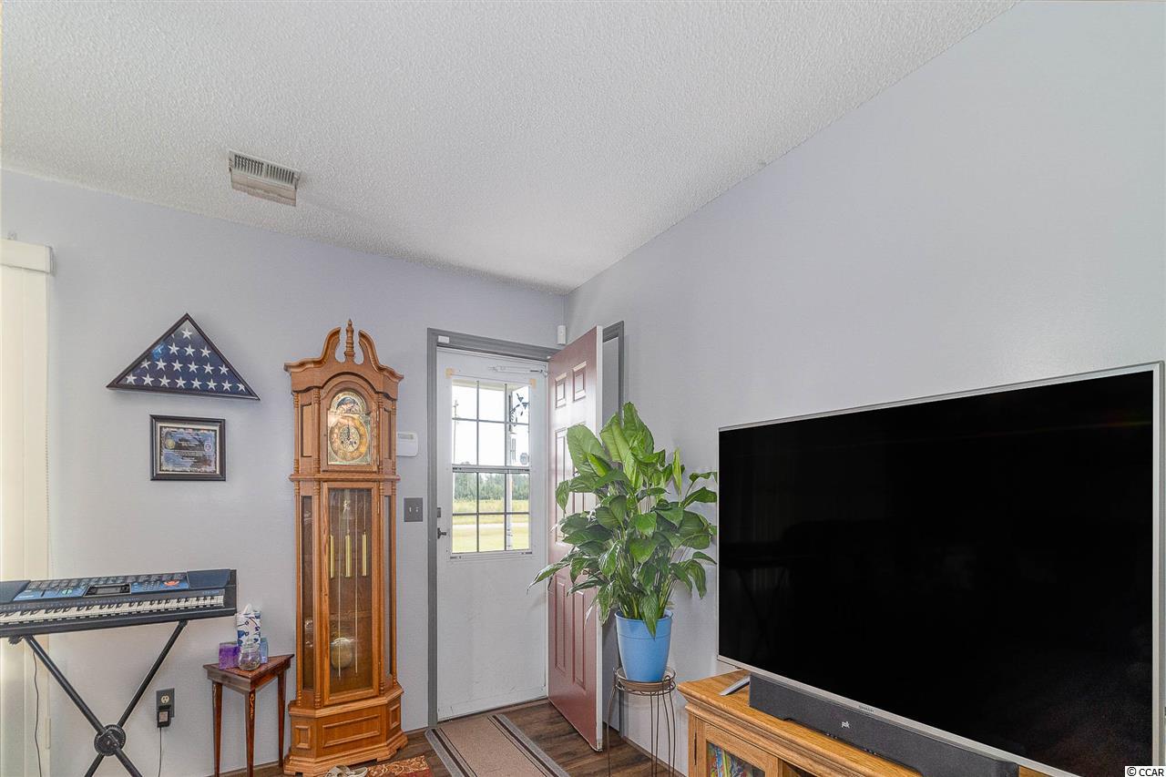 2205 Ray Road Hemingway, SC 29554 - Photo 4 of 27