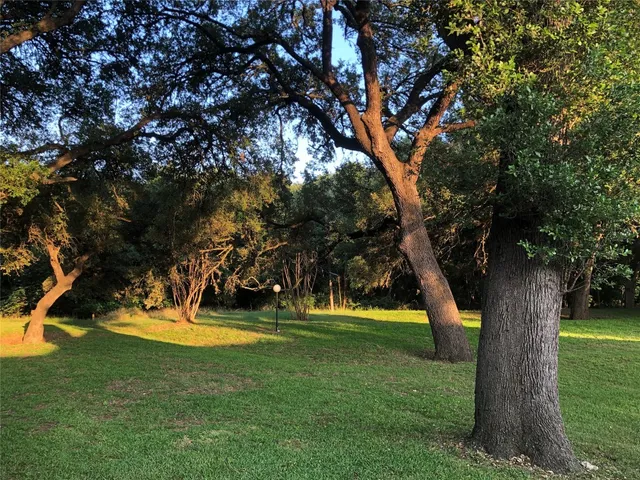 a view of a playground with a tree