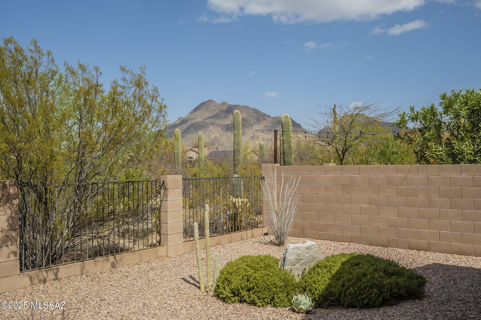 3634 South Desert Lantern Road Tucson, AZ 85735 - Photo 40 of 41 Mountain Views from Backyard Patio