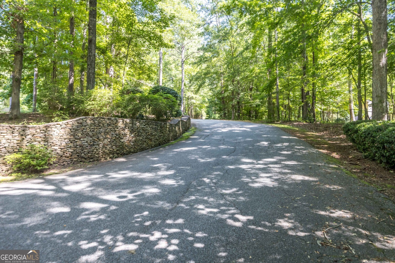 9250 River Road Fortson, GA 31808 - Photo 3 of 6 a view of a yard with plants and trees