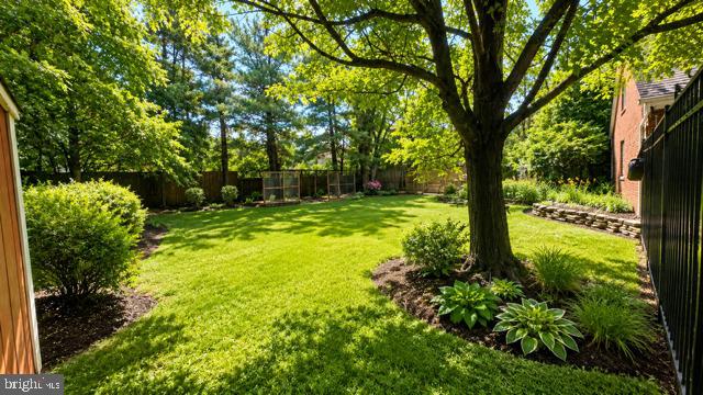 241 Edwards Ferry Road Northeast Leesburg, VA 20176 - Photo 40 of 41 Lush green oasis in a serene setting.