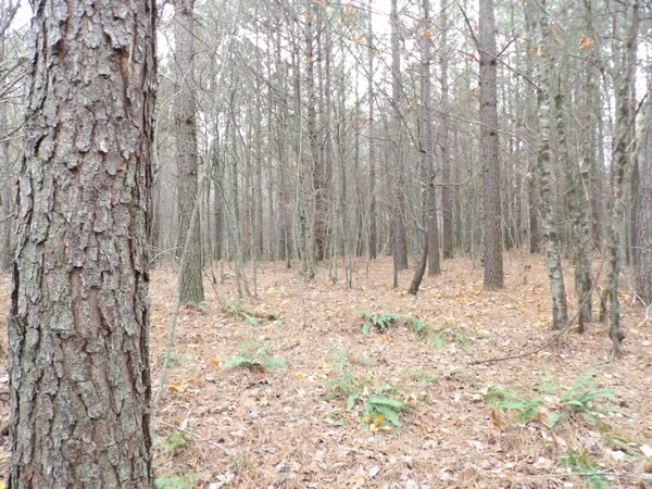 $272,000 | Lot 21 Summercity Road, Evensville, TN 37332