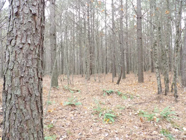 $272,000 | Lot 21 Summercity Road, Evensville, TN 37332