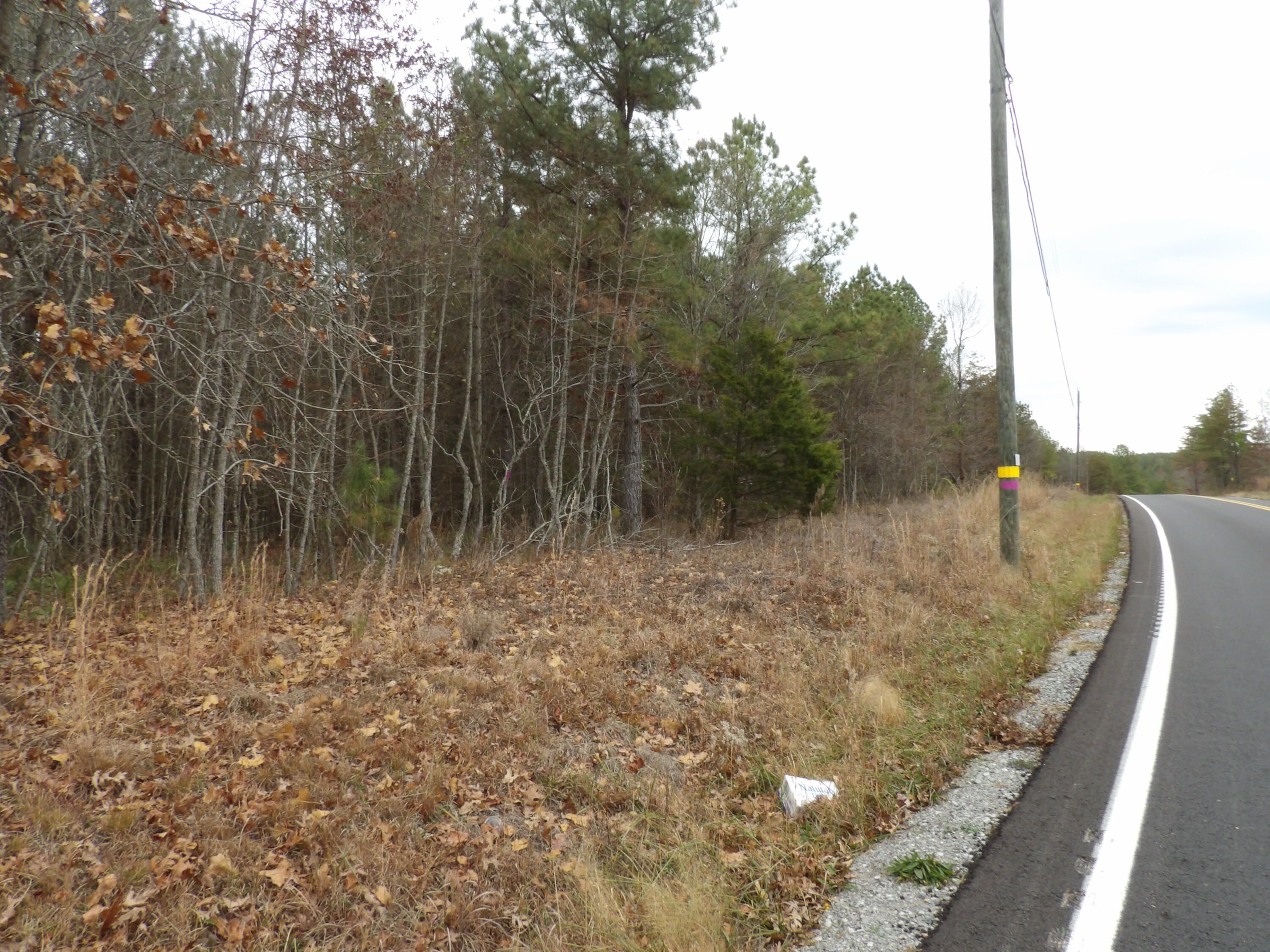 Lot 21 Summercity Road Evensville, TN 37332 - Photo 13 of 19 100_2093