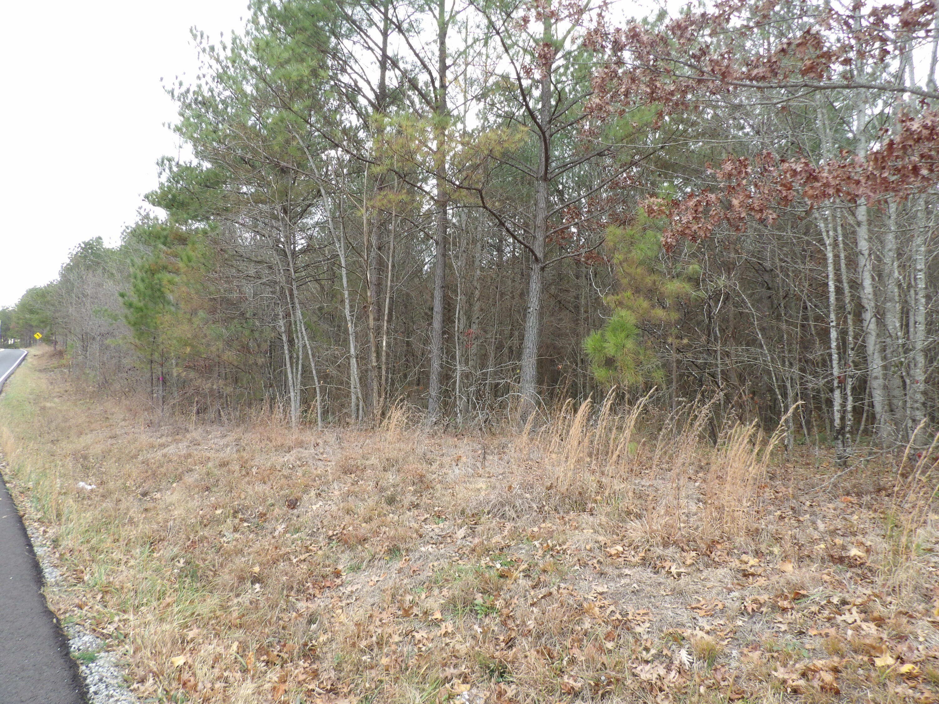 Lot 21 Summercity Road Evensville, TN 37332 - Photo 14 of 19 100_2095