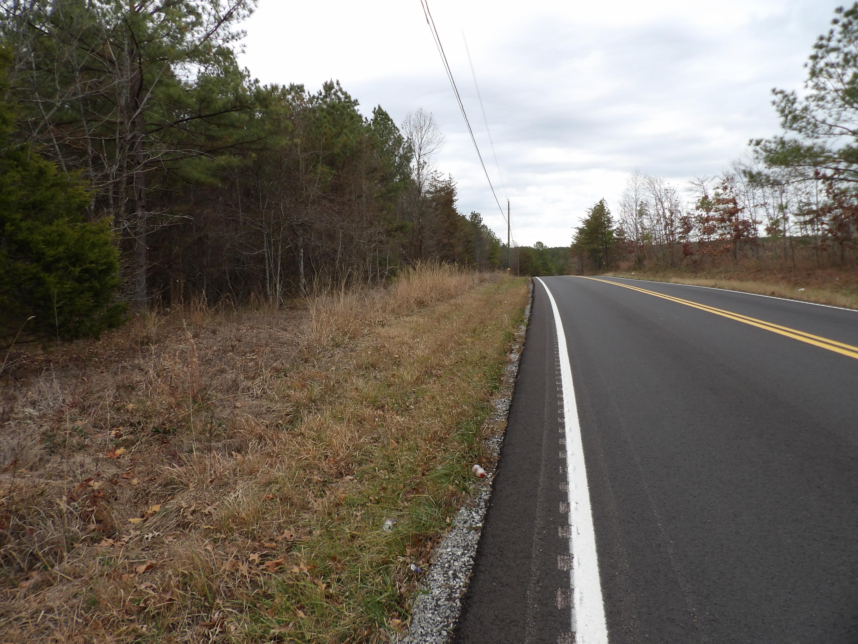 Lot 21 Summercity Road Evensville, TN 37332 - Photo 16 of 19 100_2079