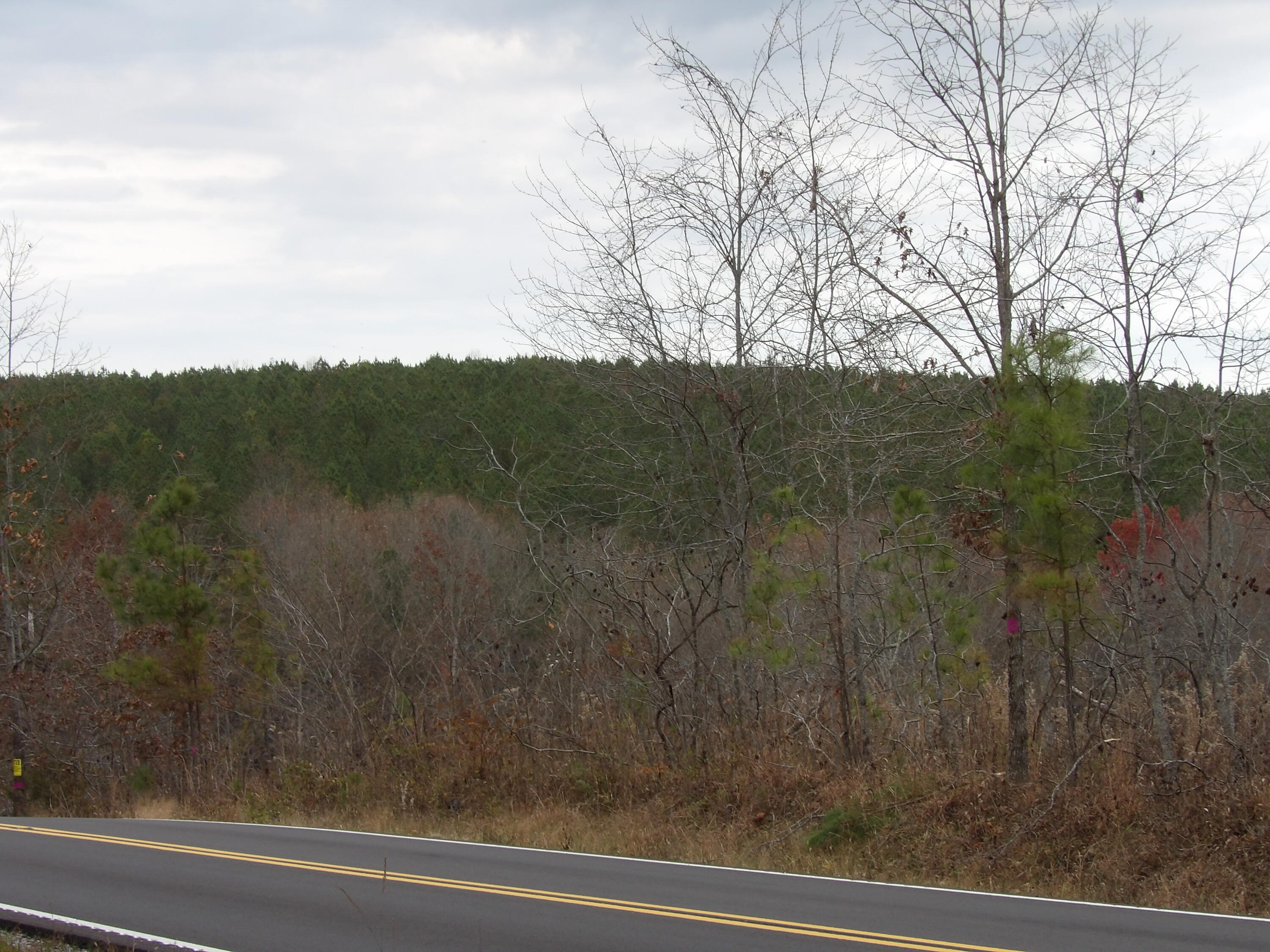 Lot 21 Summercity Road Evensville, TN 37332 - Photo 17 of 19 100_2097