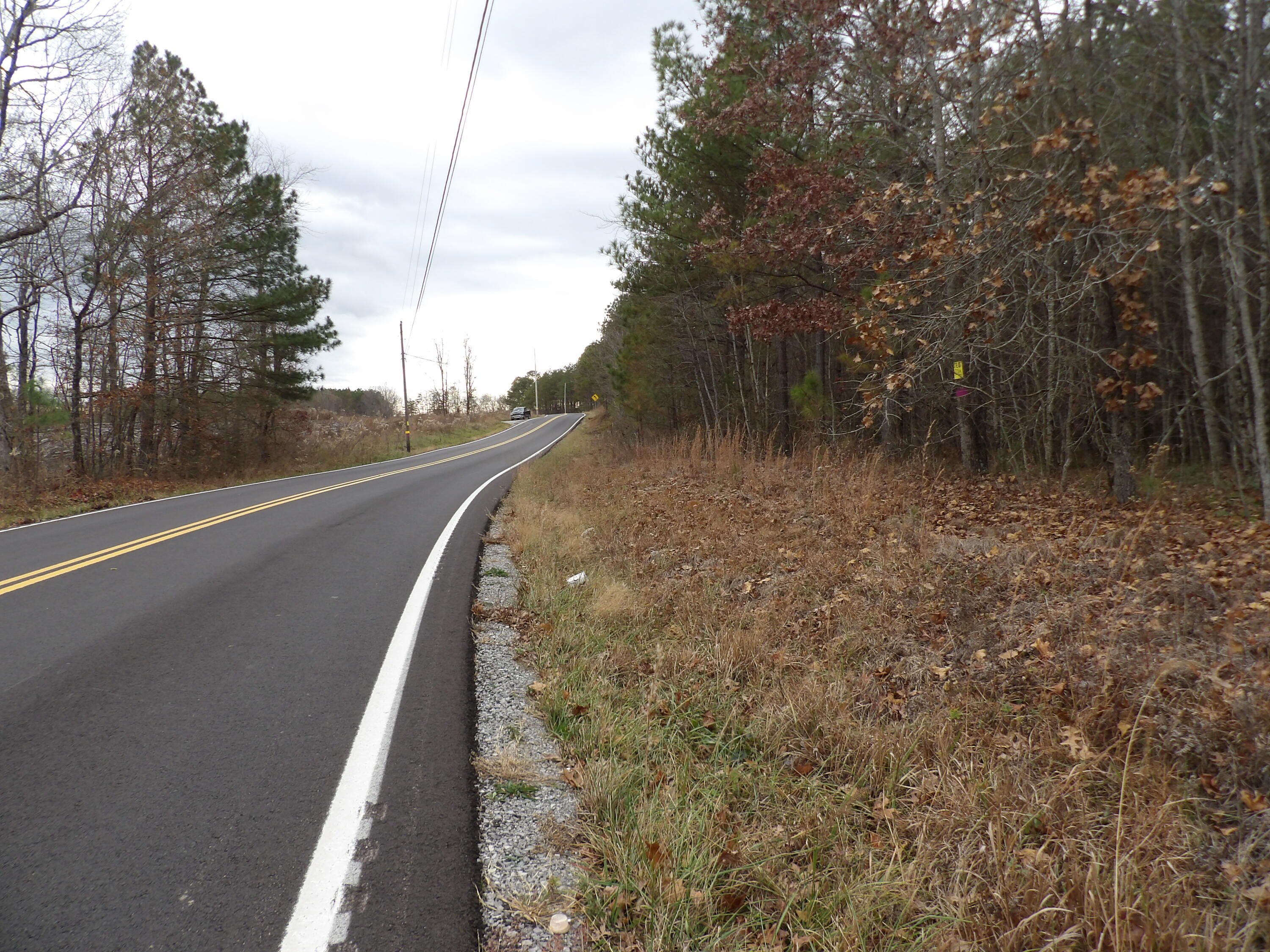 Lot 21 Summercity Road Evensville, TN 37332 - Photo 18 of 19 100_2081