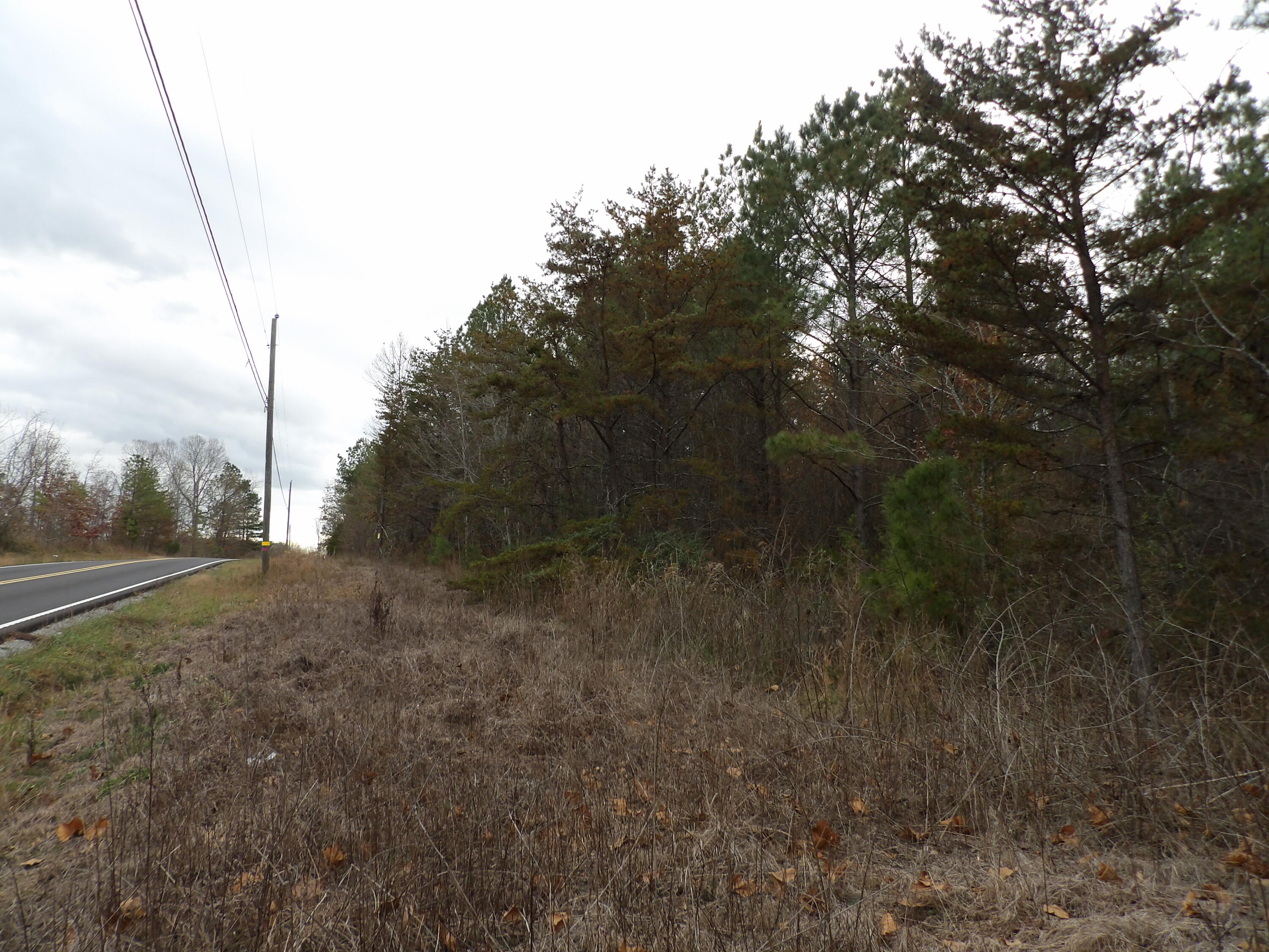 Lot 21 Summercity Road Evensville, TN 37332 - Photo 19 of 19 100_2098