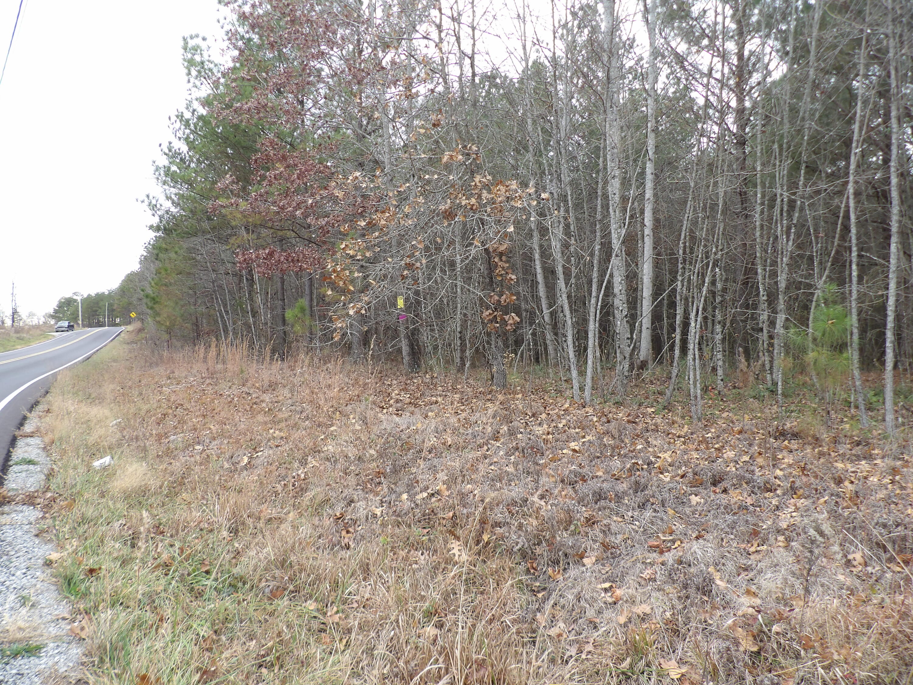 Lot 21 Summercity Road Evensville, TN 37332 - Photo 3 of 19 100_2080