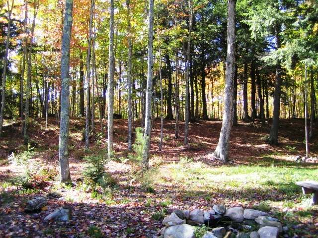 On Hewitt Road, Unit LT 23 Mercer, WI 54547 - Photo 5 of 14 Gallery Image 5