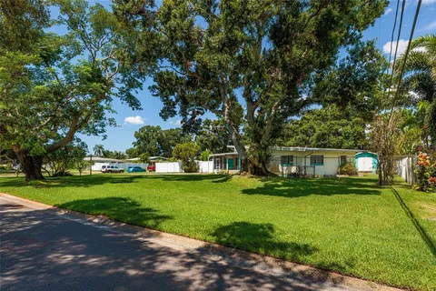 a view of a yard with plants and trees