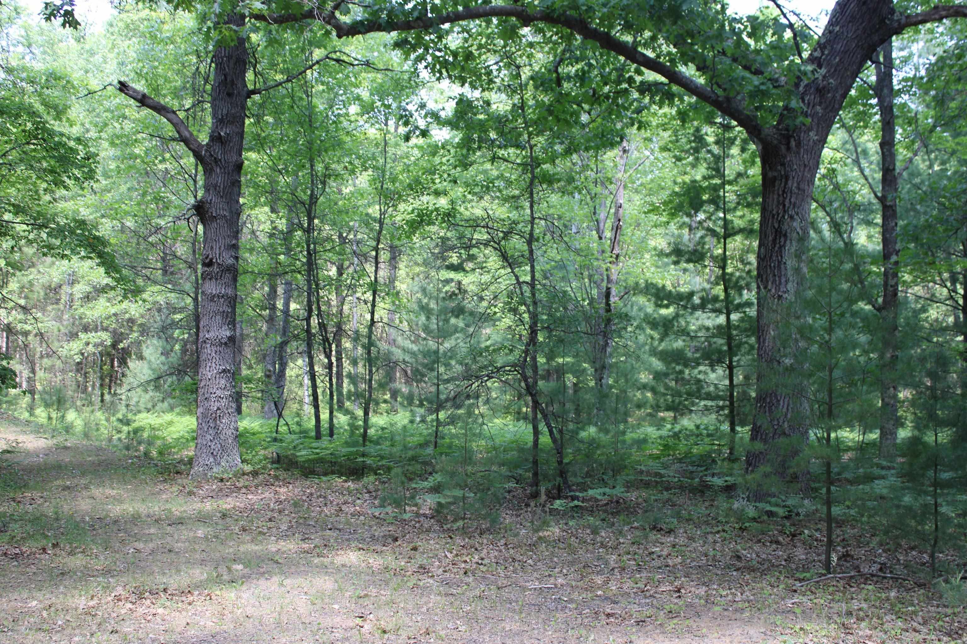 0 Alger Road Alger, MI 48610 - Photo 39 of 39