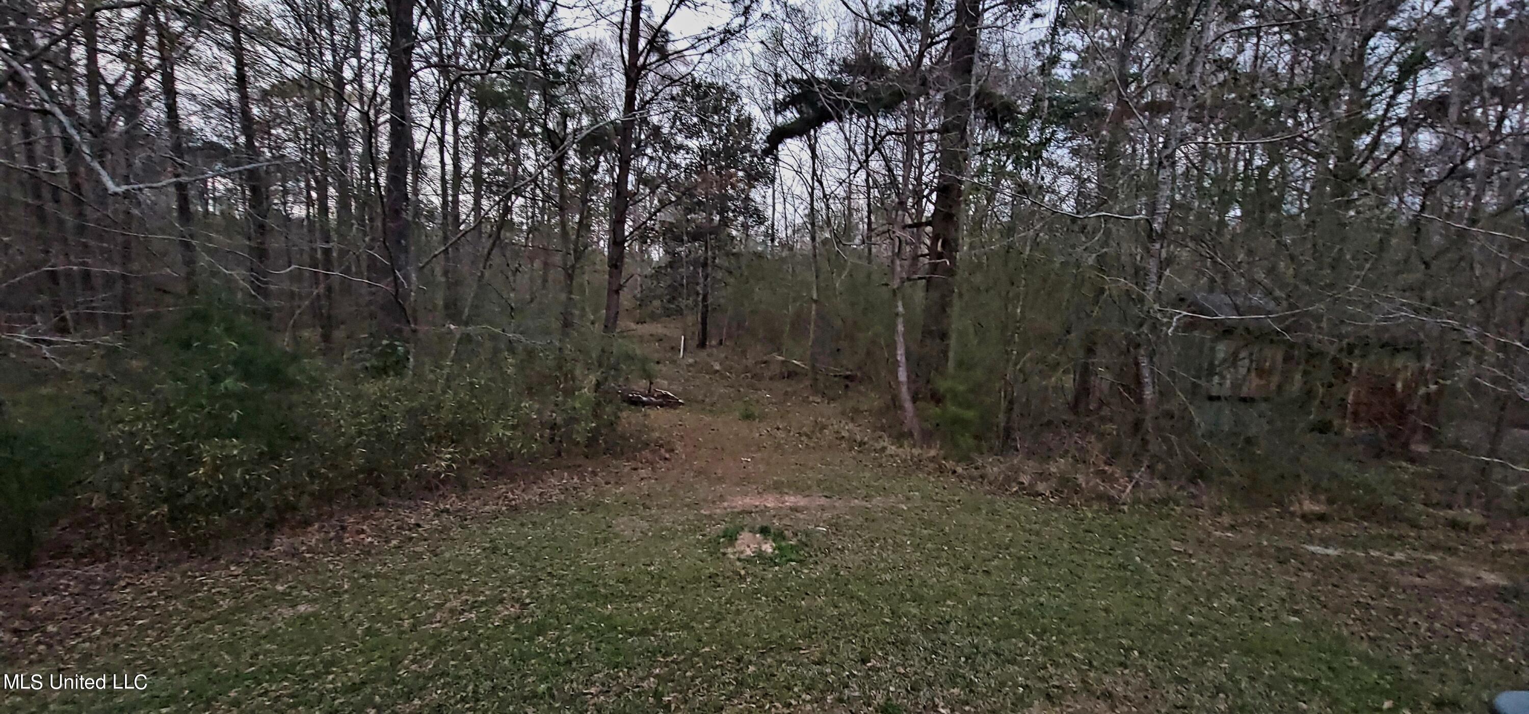 258 Loflin Road Florence, MS 39073 - Photo 21 of 22 20230301_180733