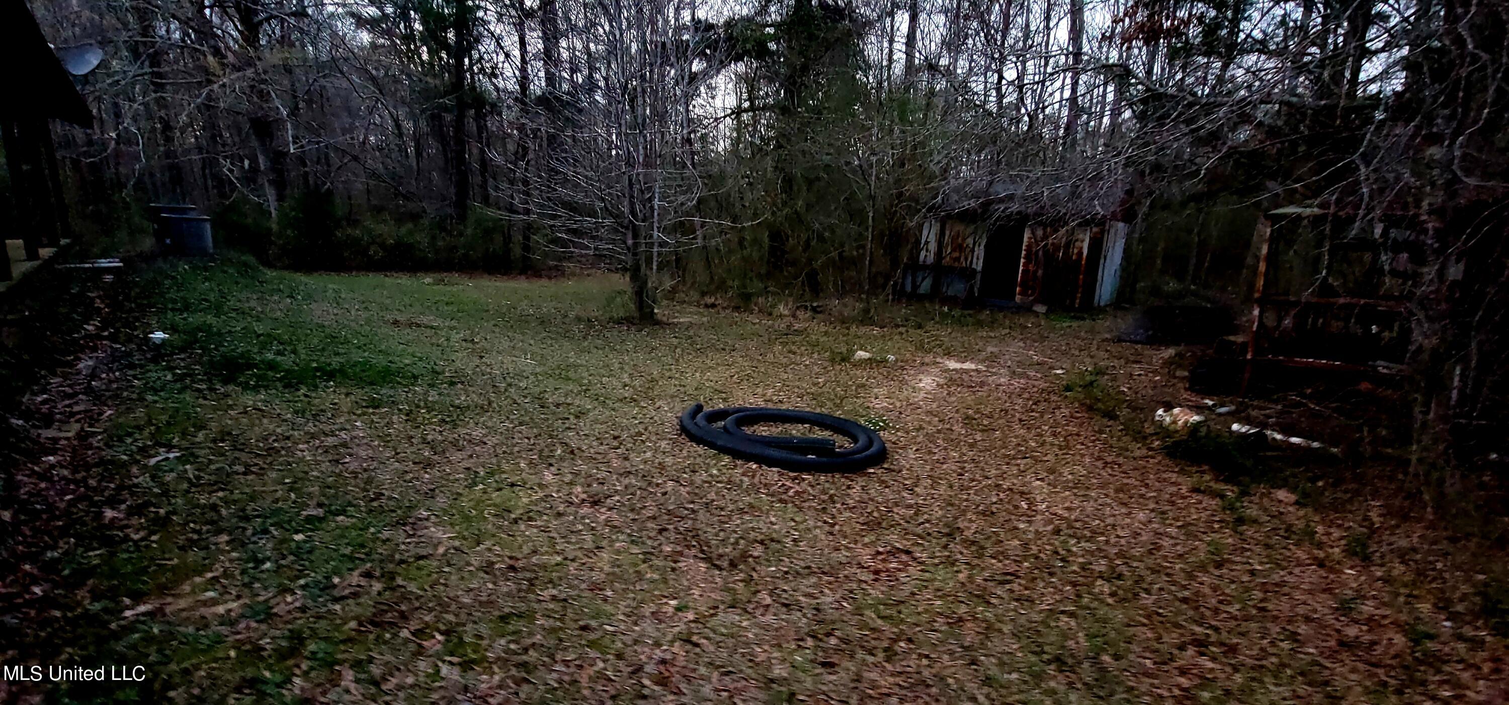 258 Loflin Road Florence, MS 39073 - Photo 22 of 22 20230301_180715