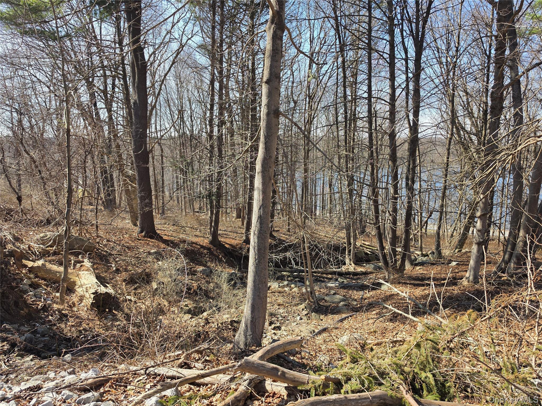 6 Willow Road Carmel, NY 10512 - Photo 5 of 15 a view of a backyard with large trees