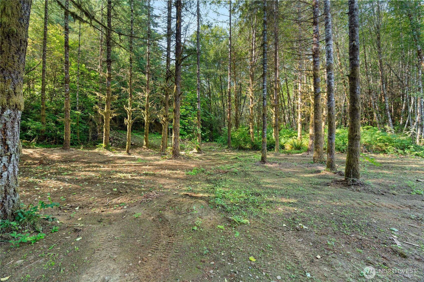 335 Middle Satsop Road Montesano, WA 98563 - Photo 34 of 40 Gallery Image 34