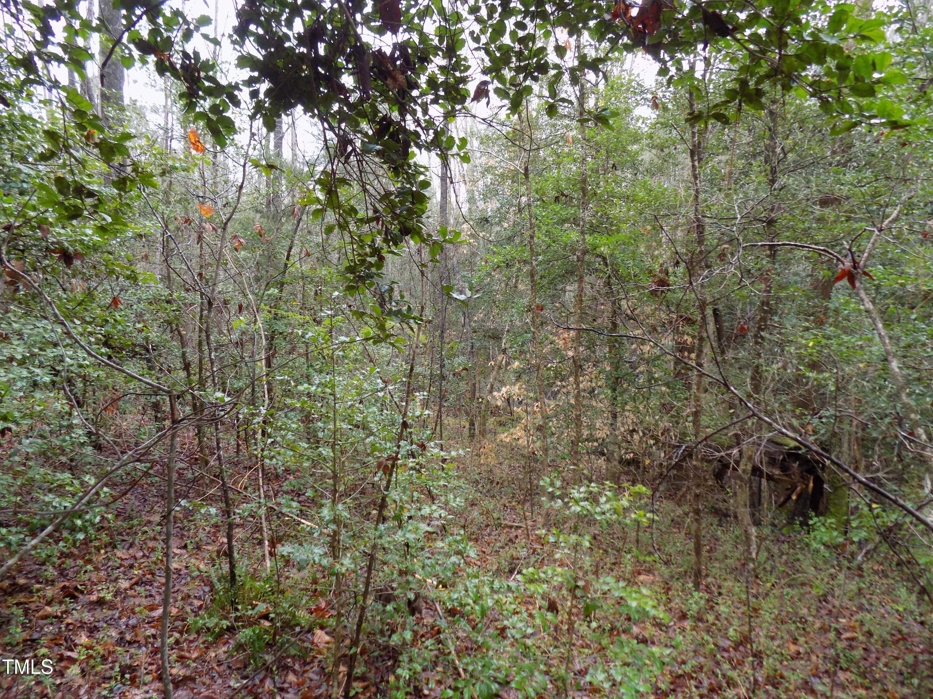 0 Beamon Hunt Road Warrenton, NC 27589 - Photo 11 of 17 b2