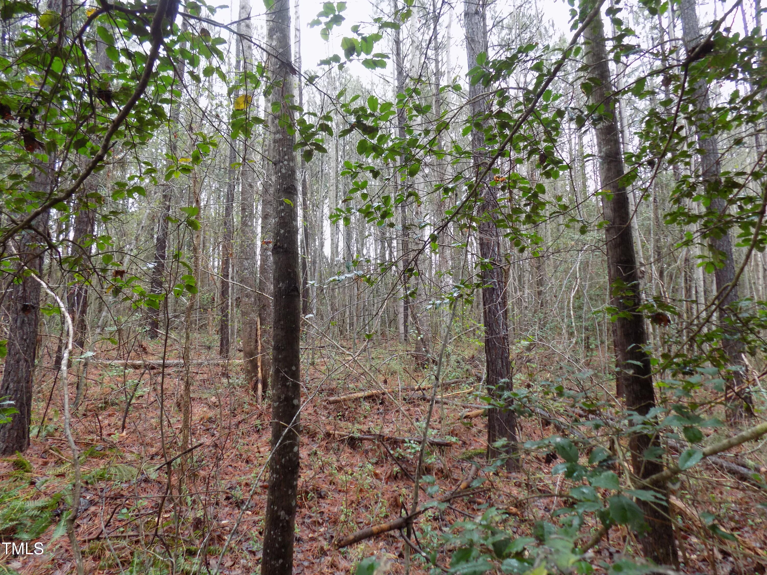 0 Beamon Hunt Road Warrenton, NC 27589 - Photo 12 of 17 b3