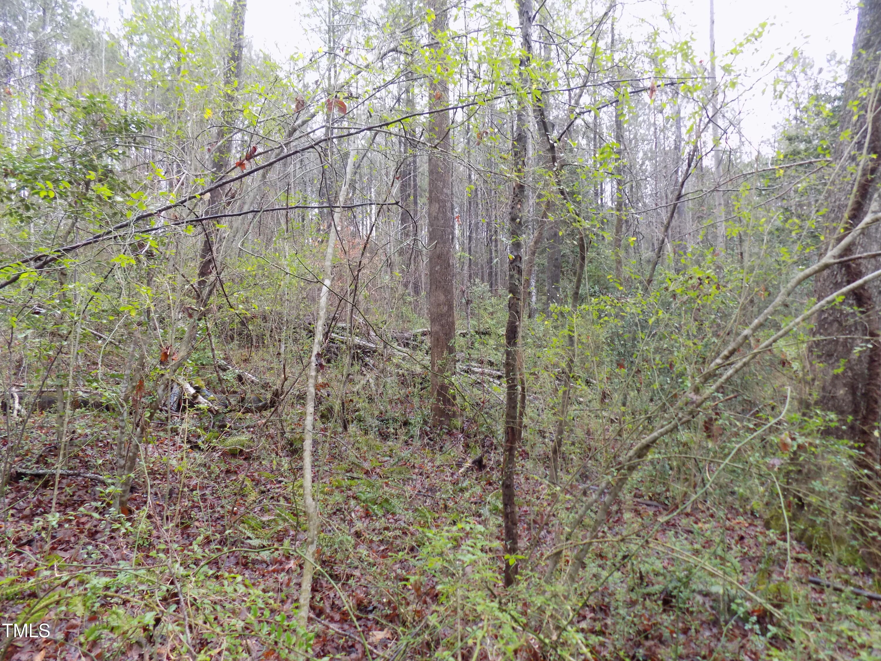 0 Beamon Hunt Road Warrenton, NC 27589 - Photo 13 of 17 b4