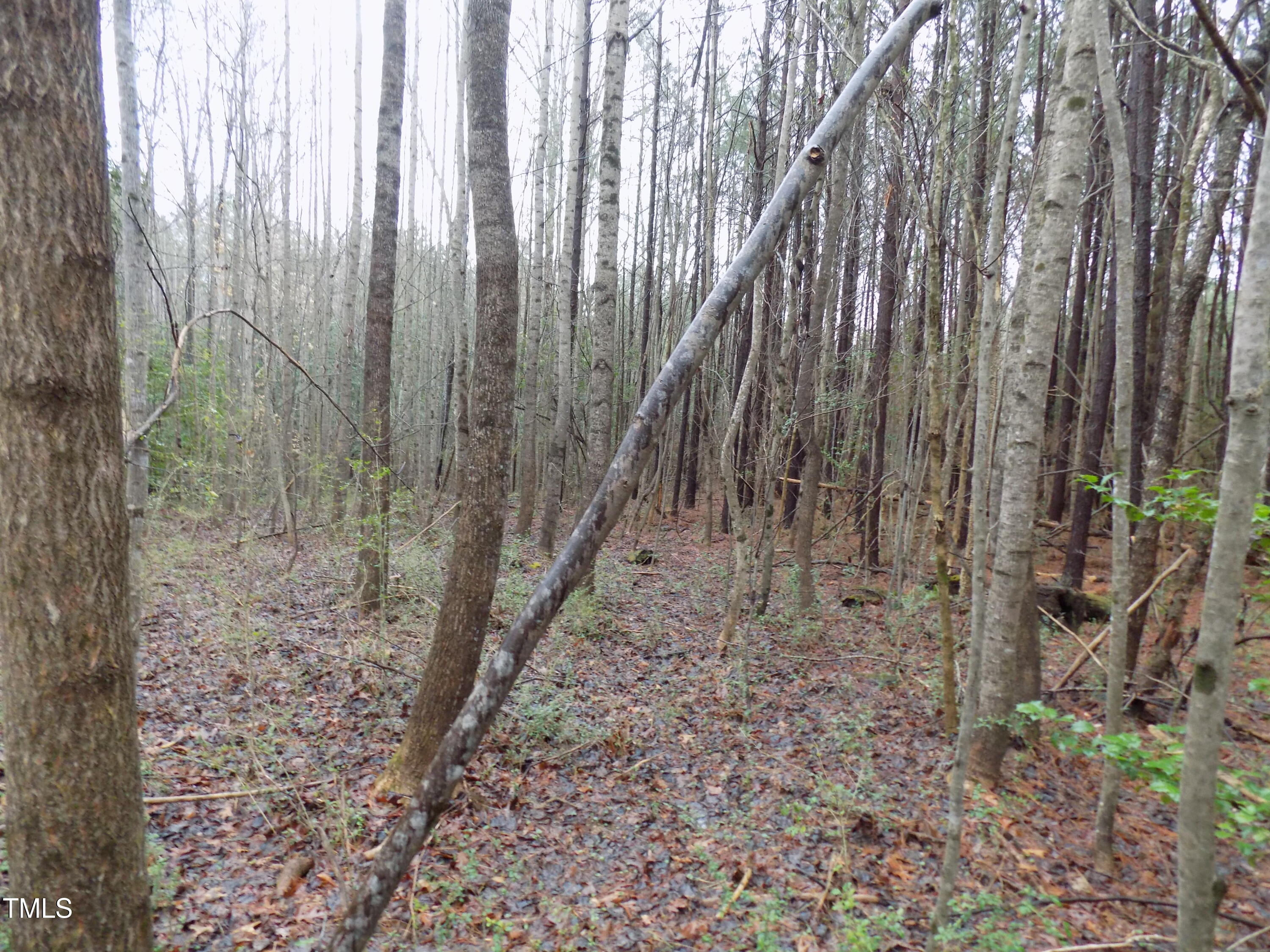 0 Beamon Hunt Road Warrenton, NC 27589 - Photo 14 of 17 b6