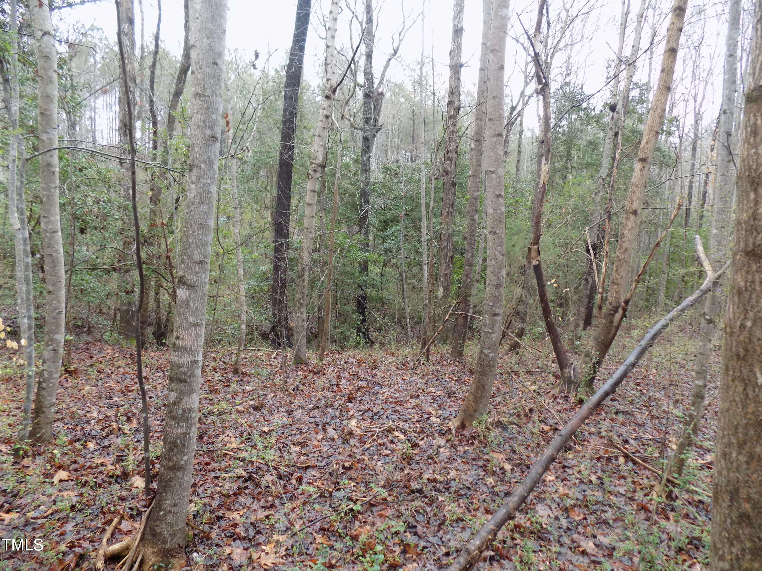 0 Beamon Hunt Road Warrenton, NC 27589 - Photo 15 of 17 b7