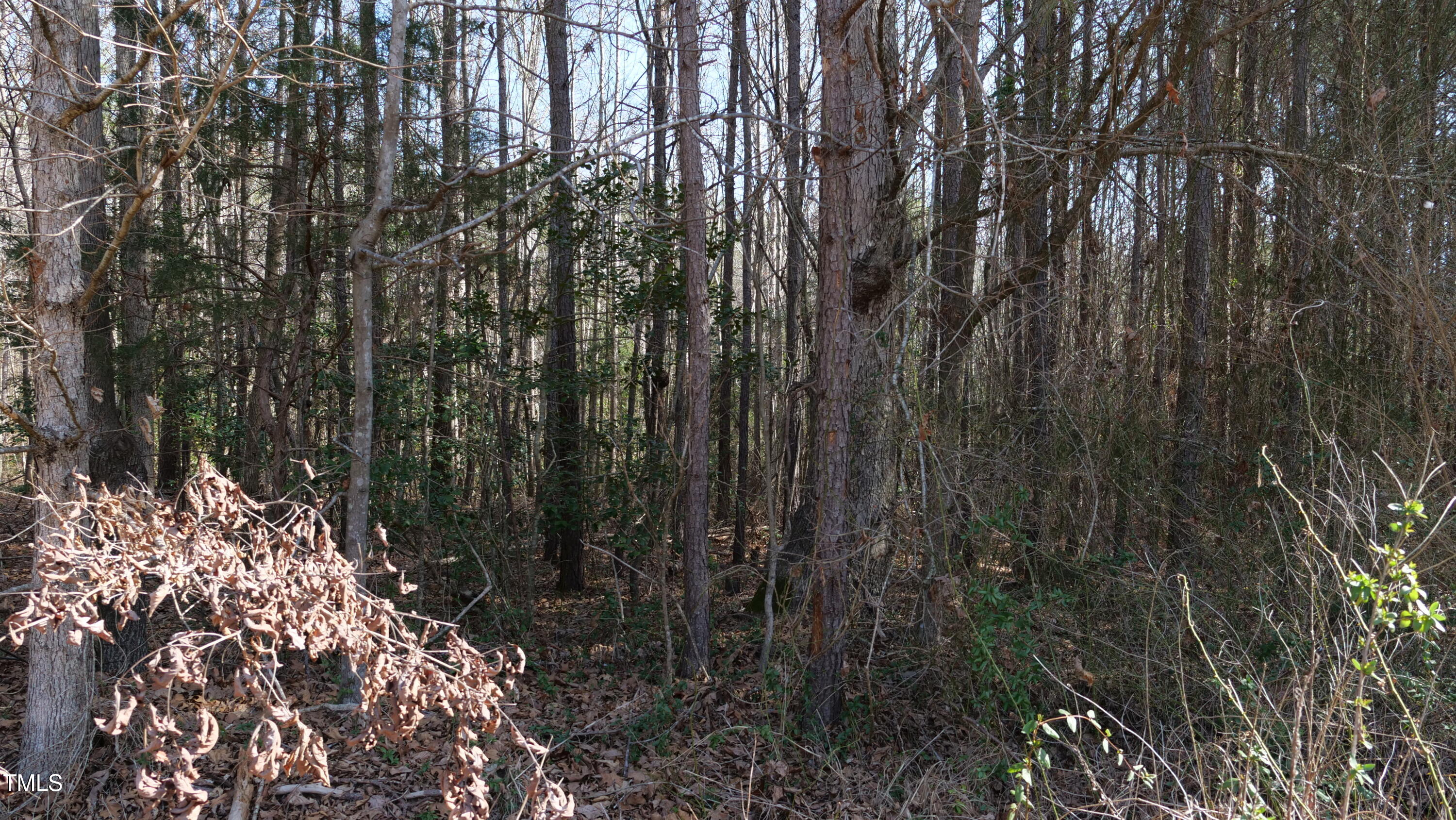 0 Beamon Hunt Road Warrenton, NC 27589 - Photo 16 of 17 Ground 22
