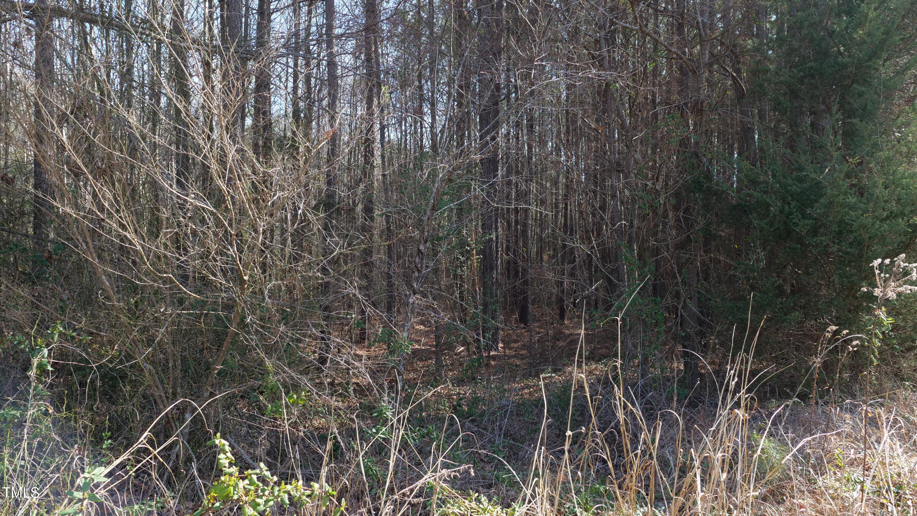 0 Beamon Hunt Road Warrenton, NC 27589 - Photo 17 of 17 Ground 23