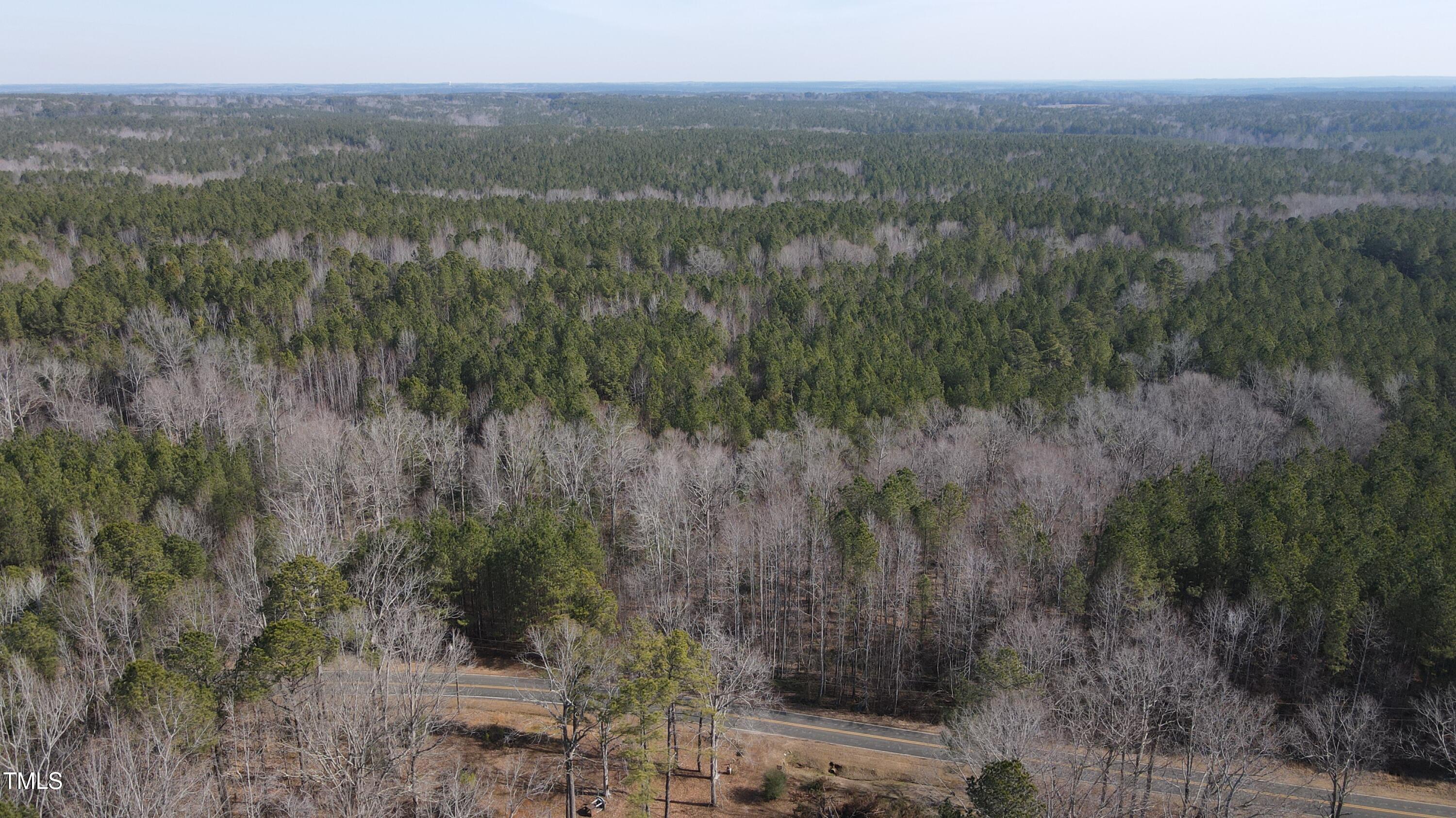 0 Beamon Hunt Road Warrenton, NC 27589 - Photo 2 of 17 Aerial 3