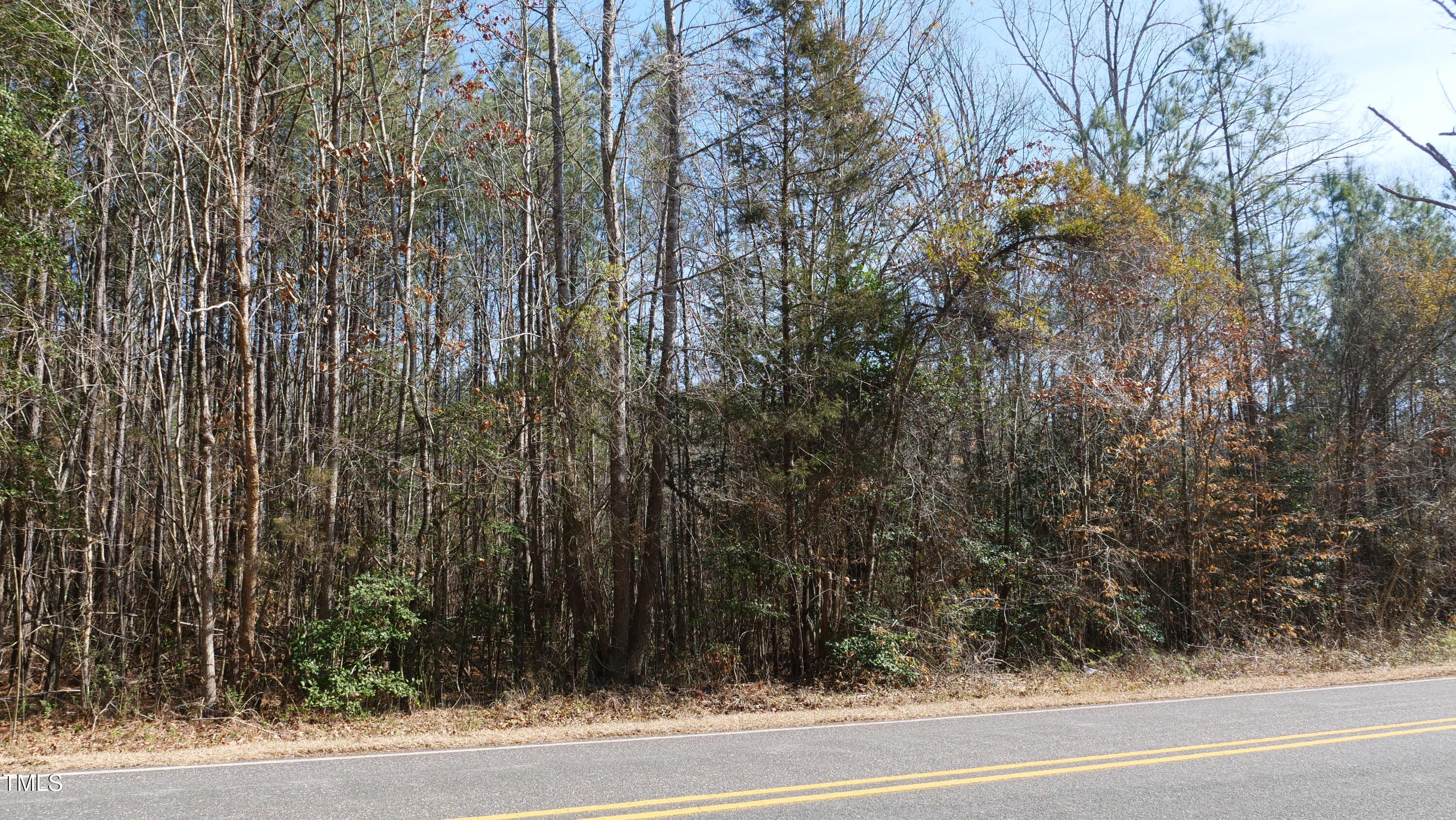 0 Beamon Hunt Road Warrenton, NC 27589 - Photo 5 of 17 Ground 7