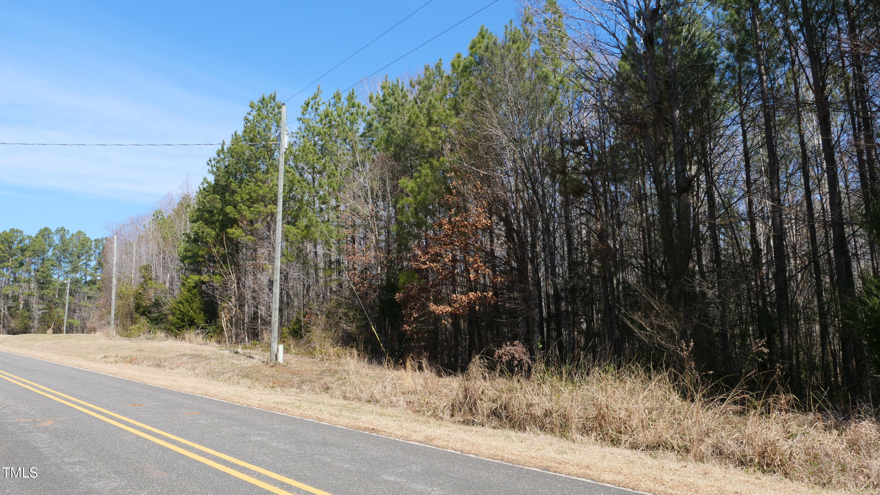 0 Beamon Hunt Road Warrenton, NC 27589 - Photo 6 of 17 Ground 17