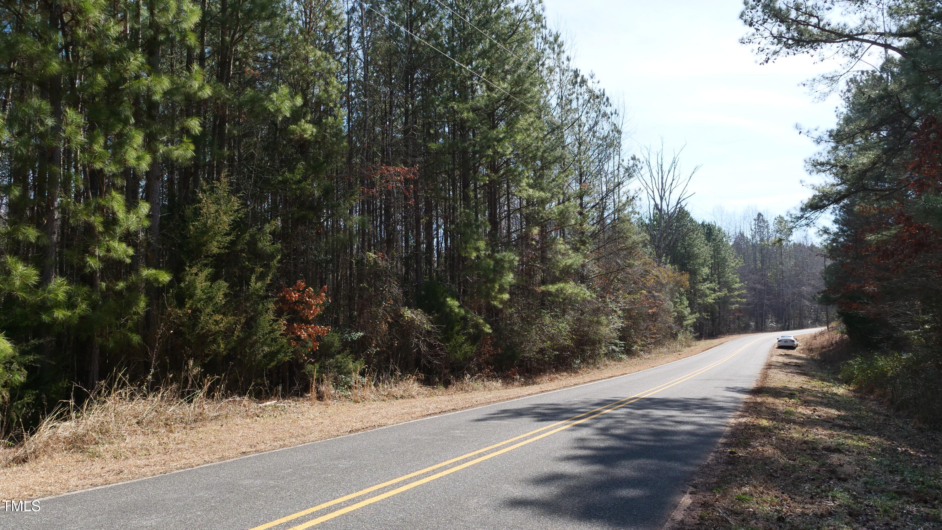 0 Beamon Hunt Road Warrenton, NC 27589 - Photo 7 of 17 Ground 18