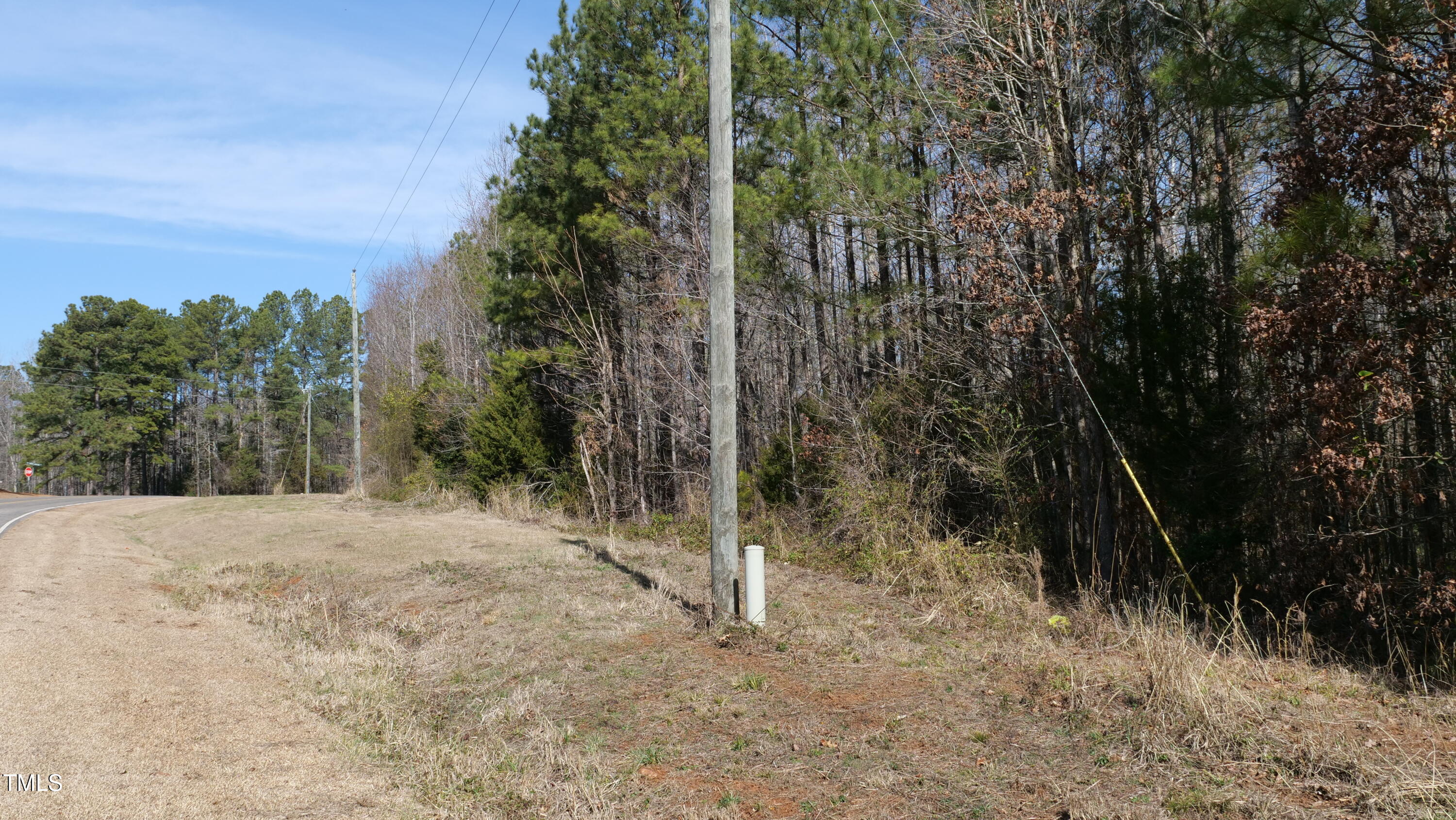 0 Beamon Hunt Road Warrenton, NC 27589 - Photo 8 of 17 Ground 20