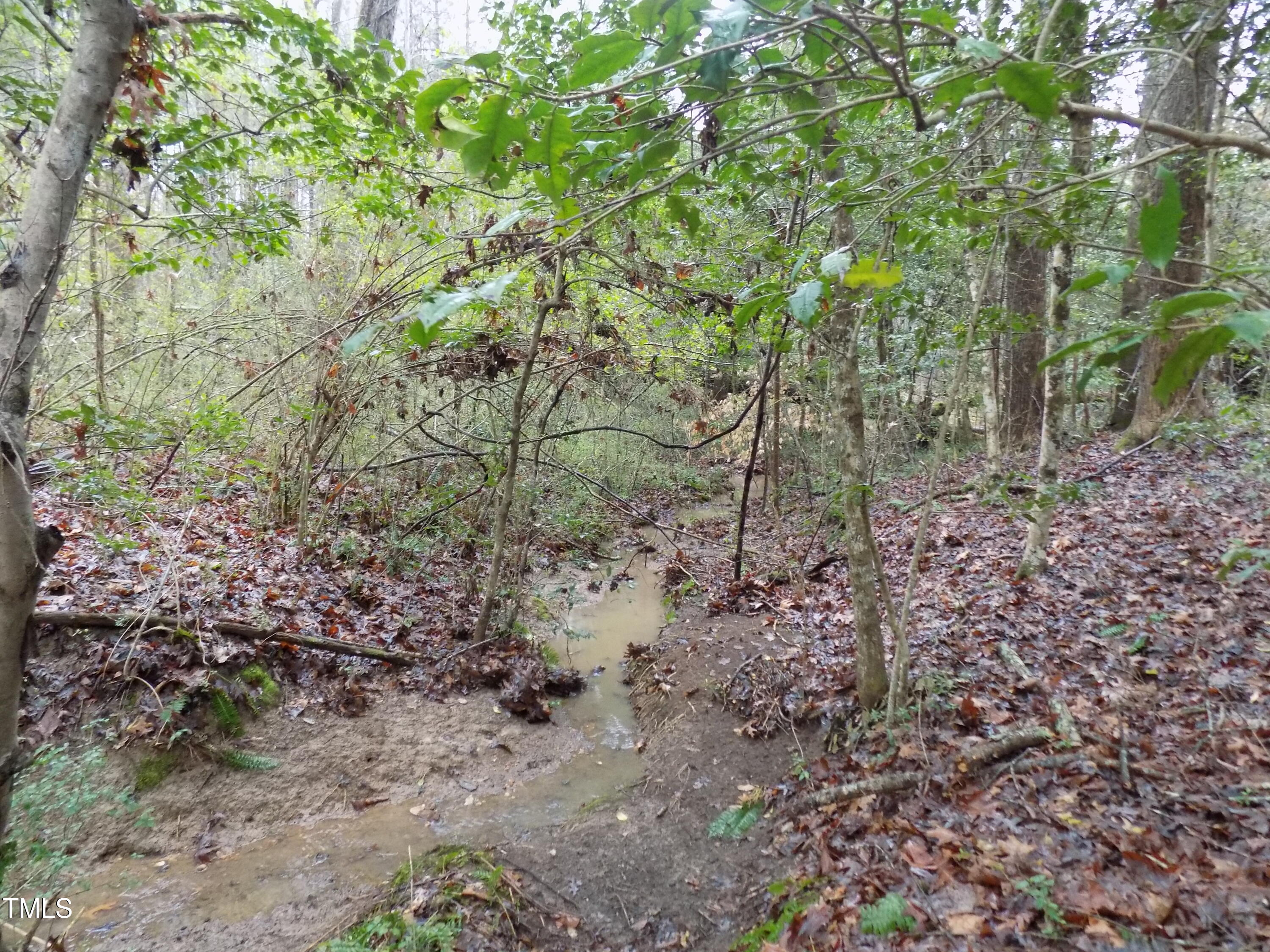 0 Beamon Hunt Road Warrenton, NC 27589 - Photo 10 of 17 b5