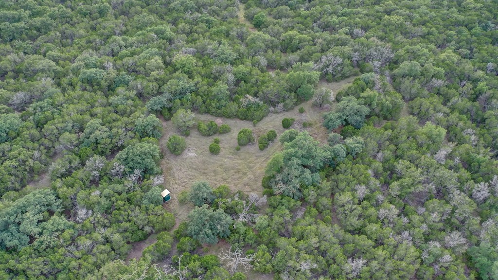438 Yellowstone Lane Hunt, TX 78024 - Photo 40 of 47
