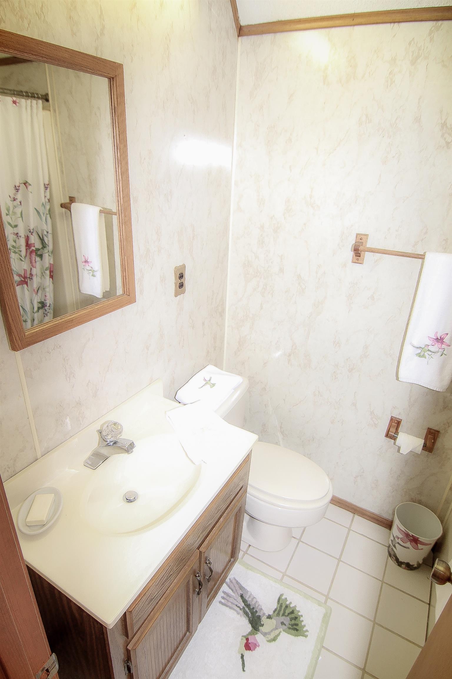 1539 Damron Road Estill Springs, TN 37330 - Photo 22 of 30 Full bathroom upstairs.