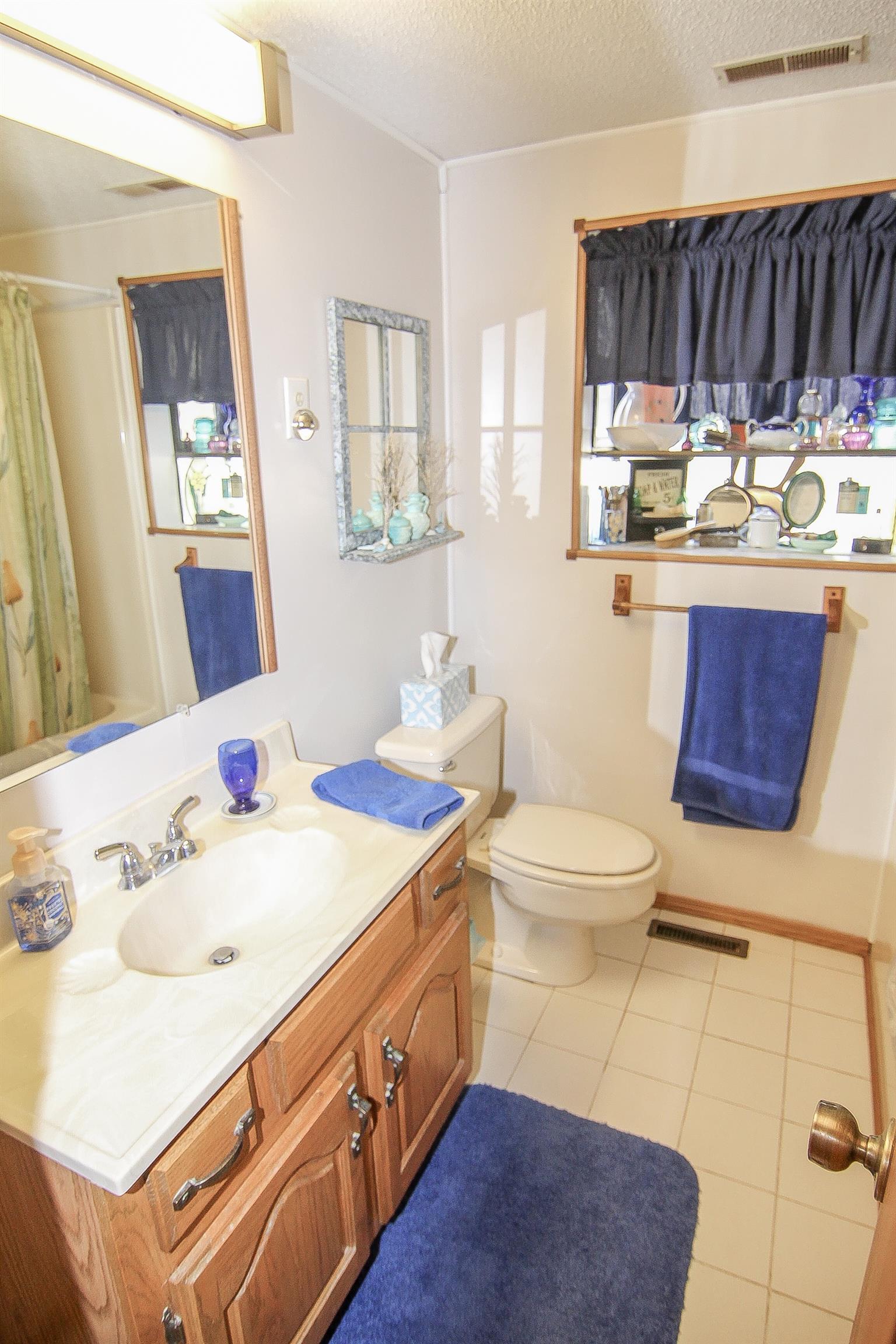 1539 Damron Road Estill Springs, TN 37330 - Photo 24 of 30 Master bathroom.