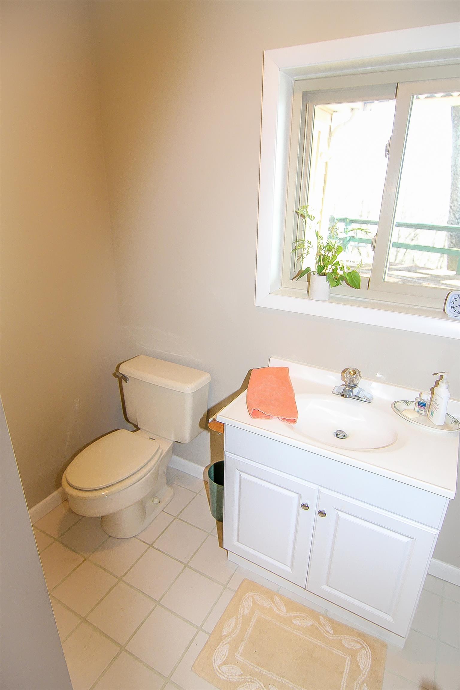1539 Damron Road Estill Springs, TN 37330 - Photo 9 of 30 Half bathroom.